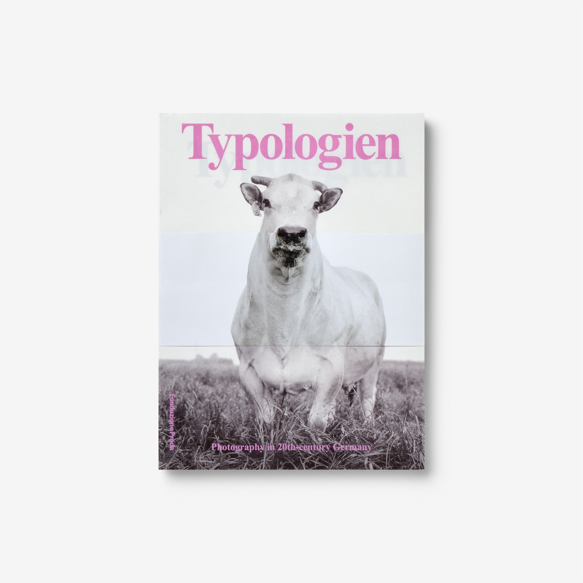 「Typologien」が登場！ Typologien: Photography In 20th Century Germany | North East