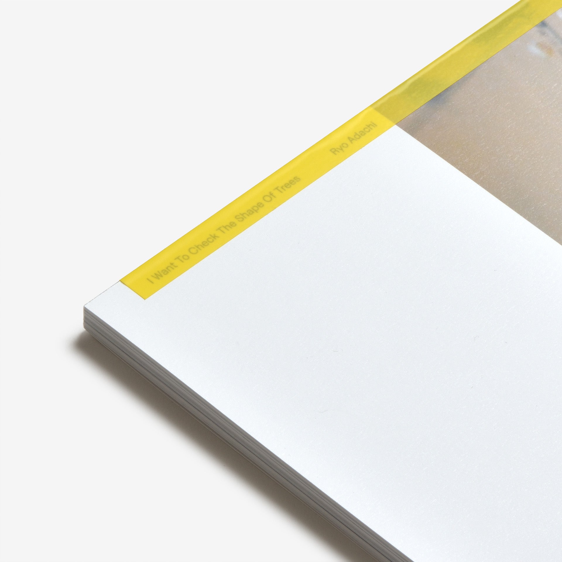 Ryo  Adachi: I Want To Check The Shape Of Trees