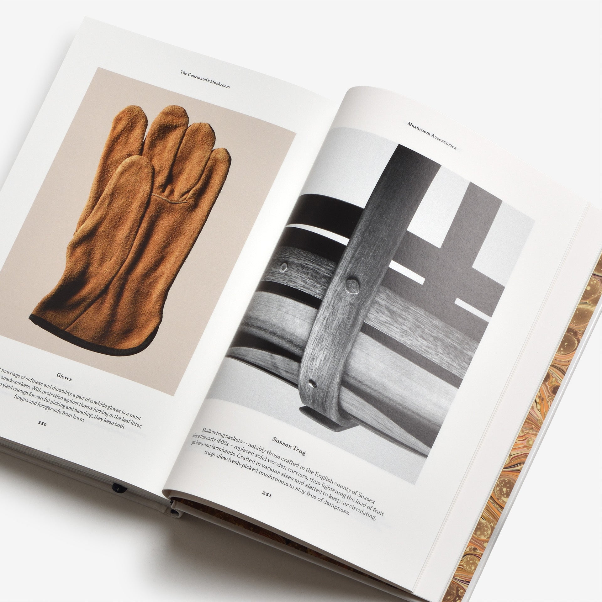 The Gourmand’s Mushroom: A Collection of Stories and Recipes