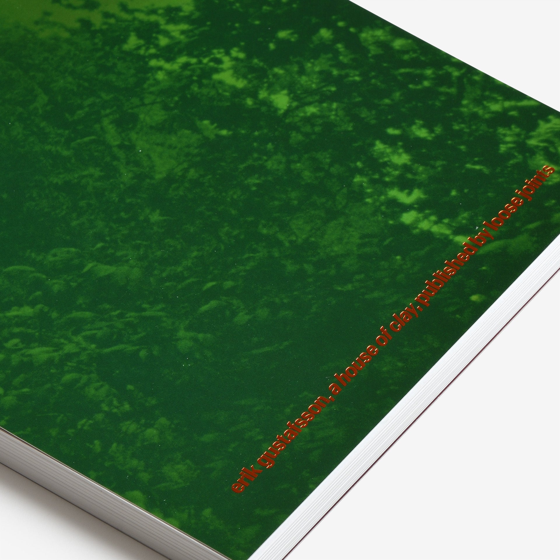 Erik Gustafsson: A House of Clay | North East