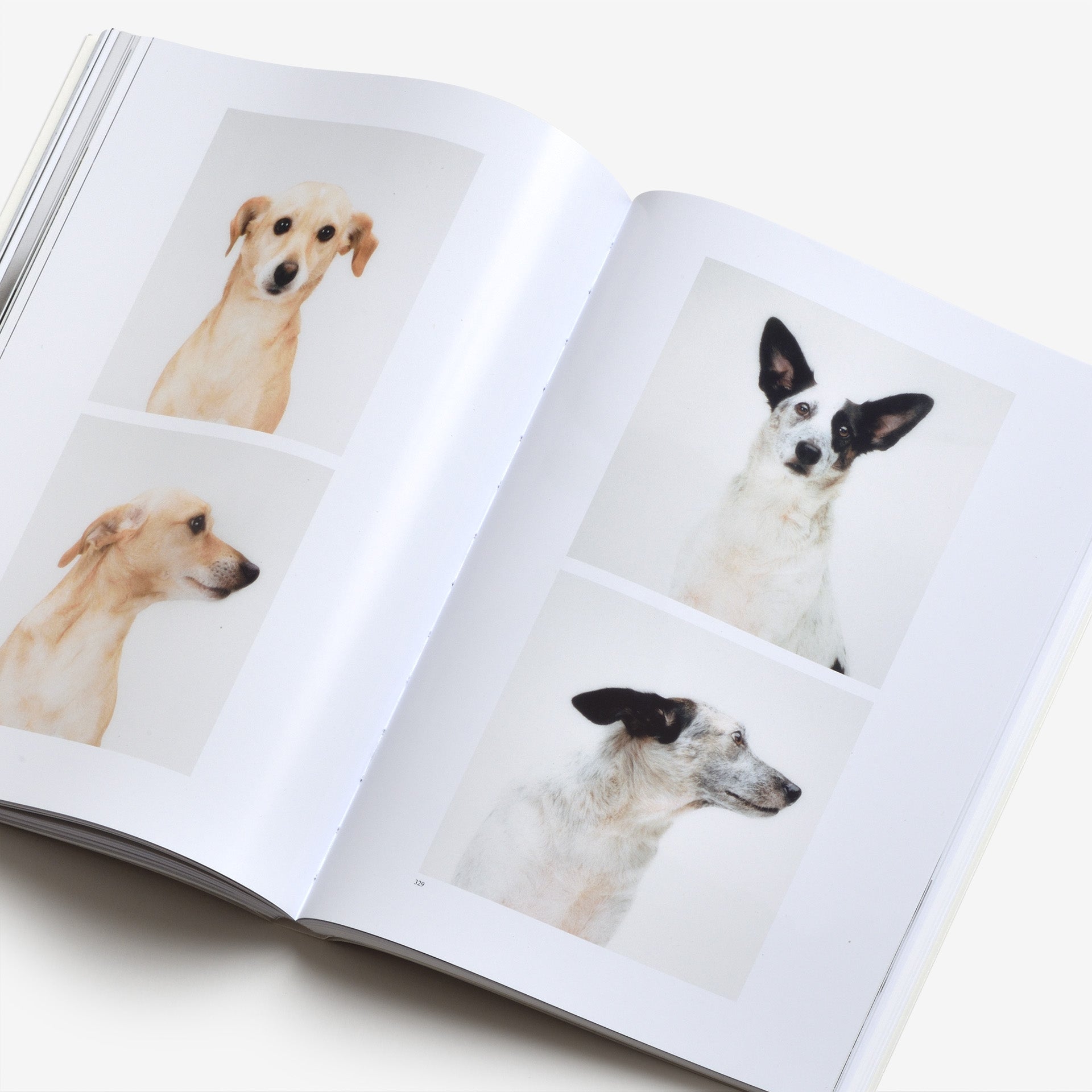 Typologien: Photography In 20th Century Germany | North East