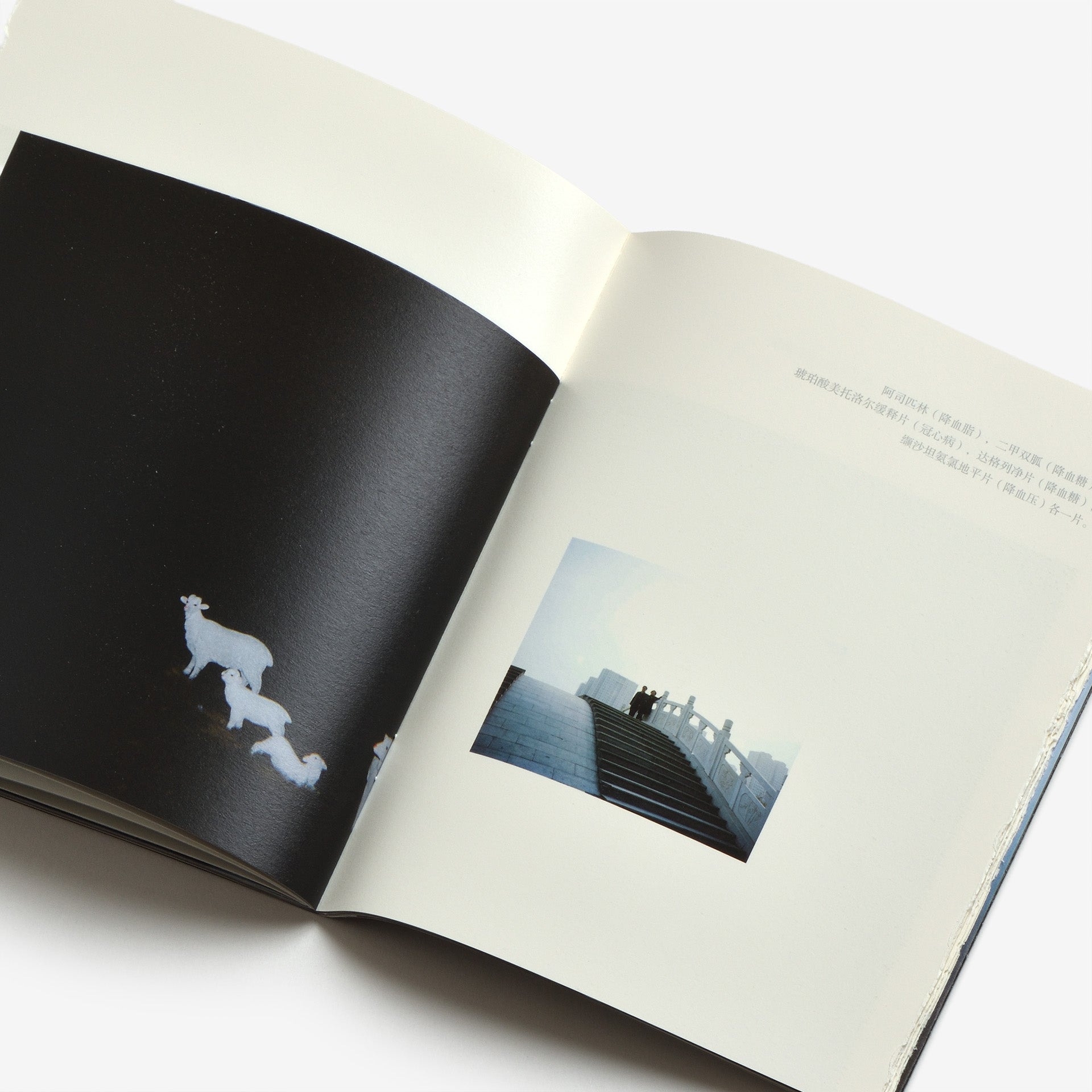 MITANI / I did nothing other than to tell them to smile（三谷 / ただ笑って、と伝えただけ）