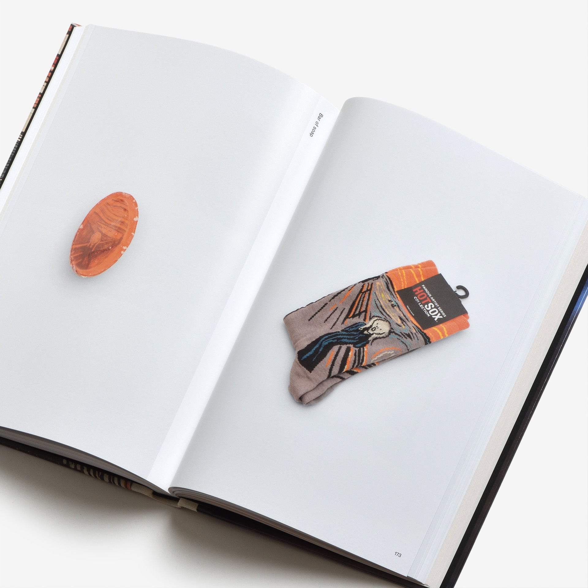 Edvard Munch: The Scream