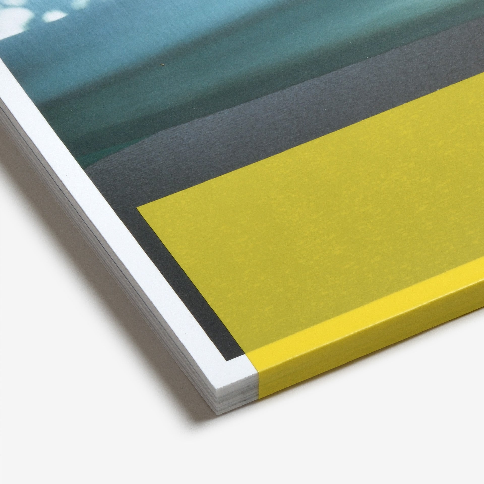 Ryo  Adachi: I Want To Check The Shape Of Trees