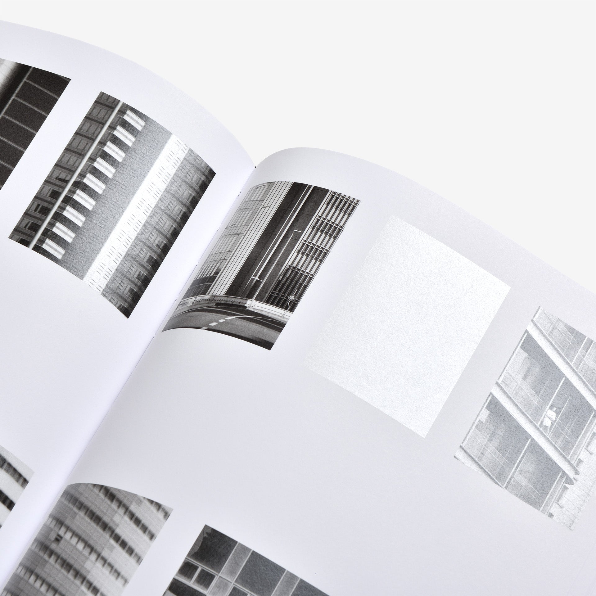 Daniel Shea: Distribution（サイン入り）