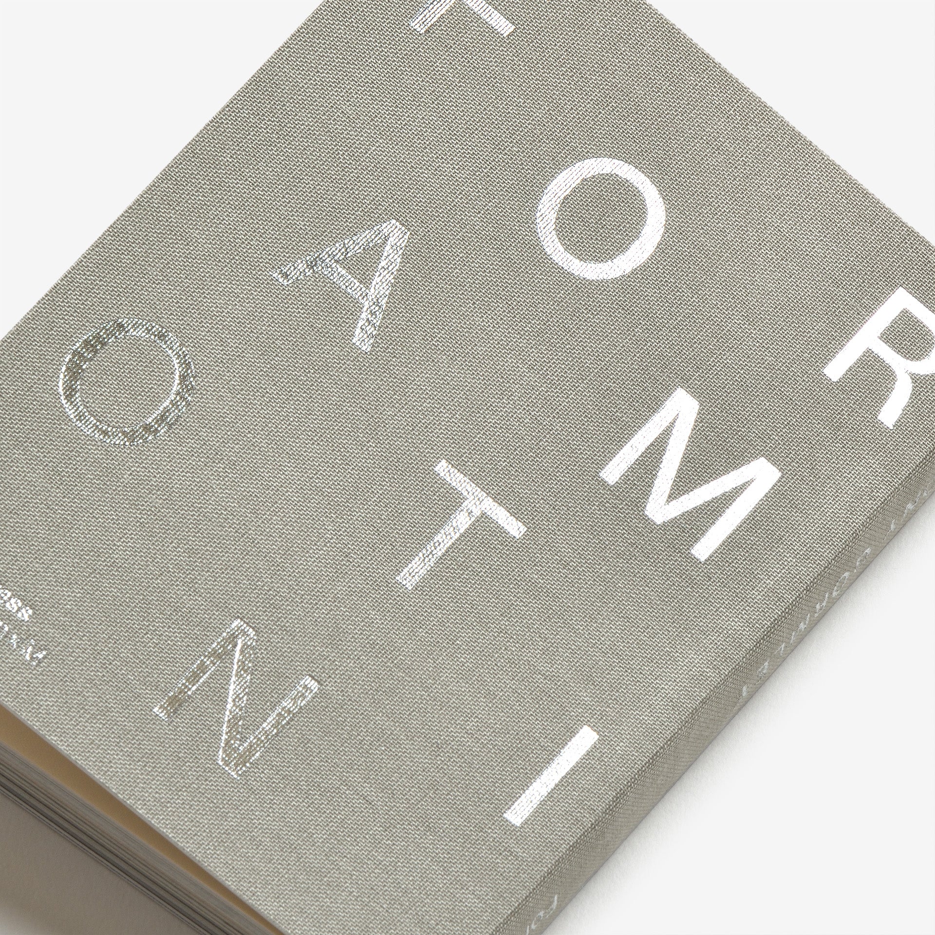 Antony Gormley: Formation