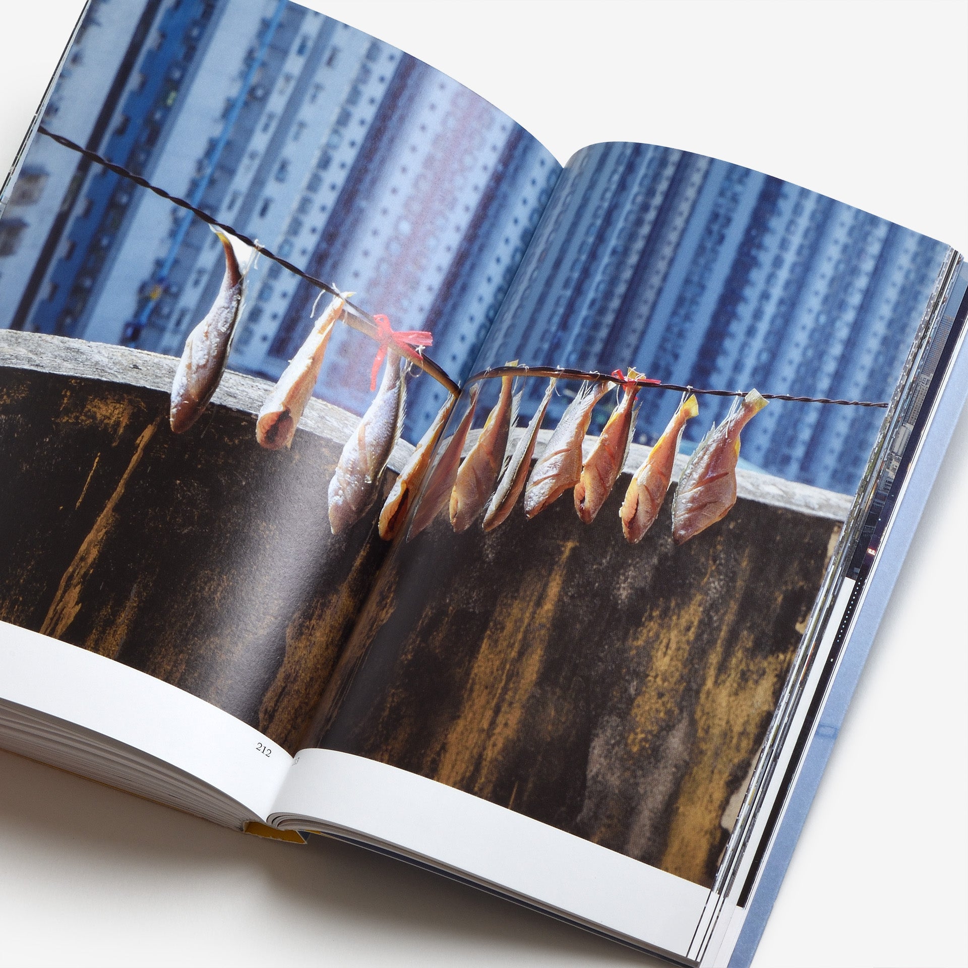 Macao: Parallel Worlds