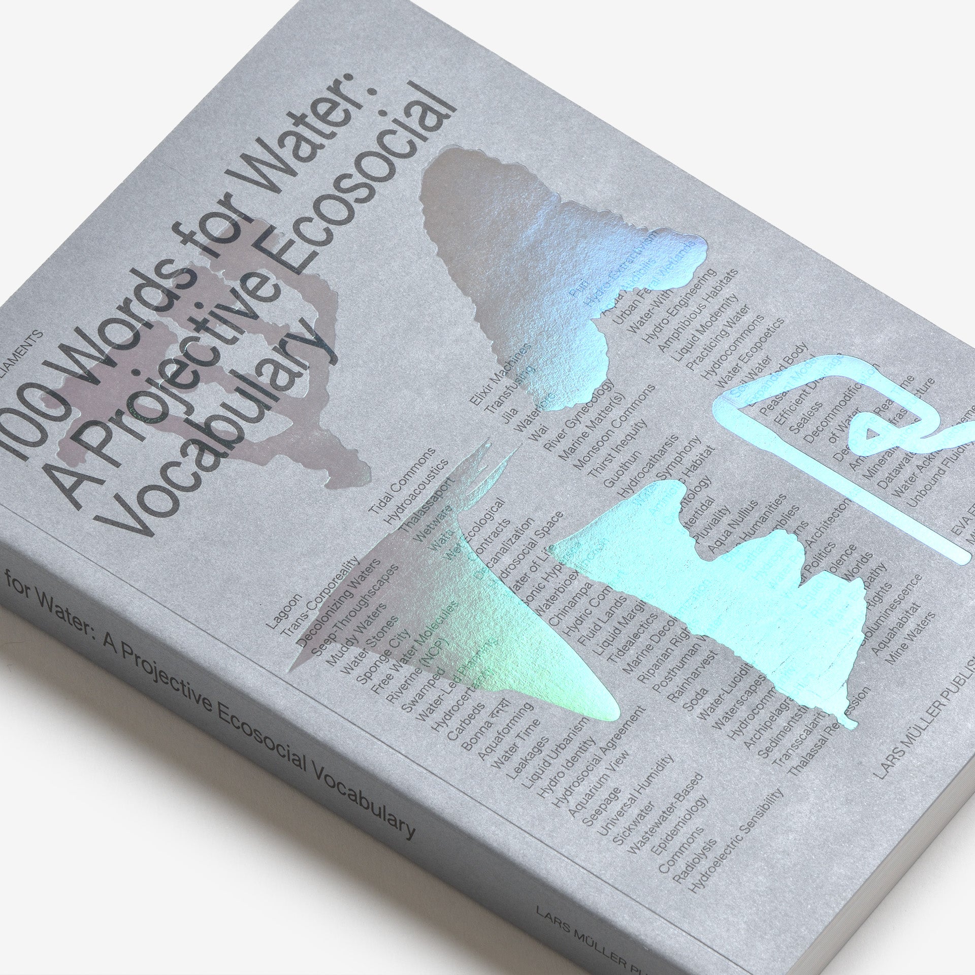 100 Words for Water: A Projective Ecosocial Vocabulary