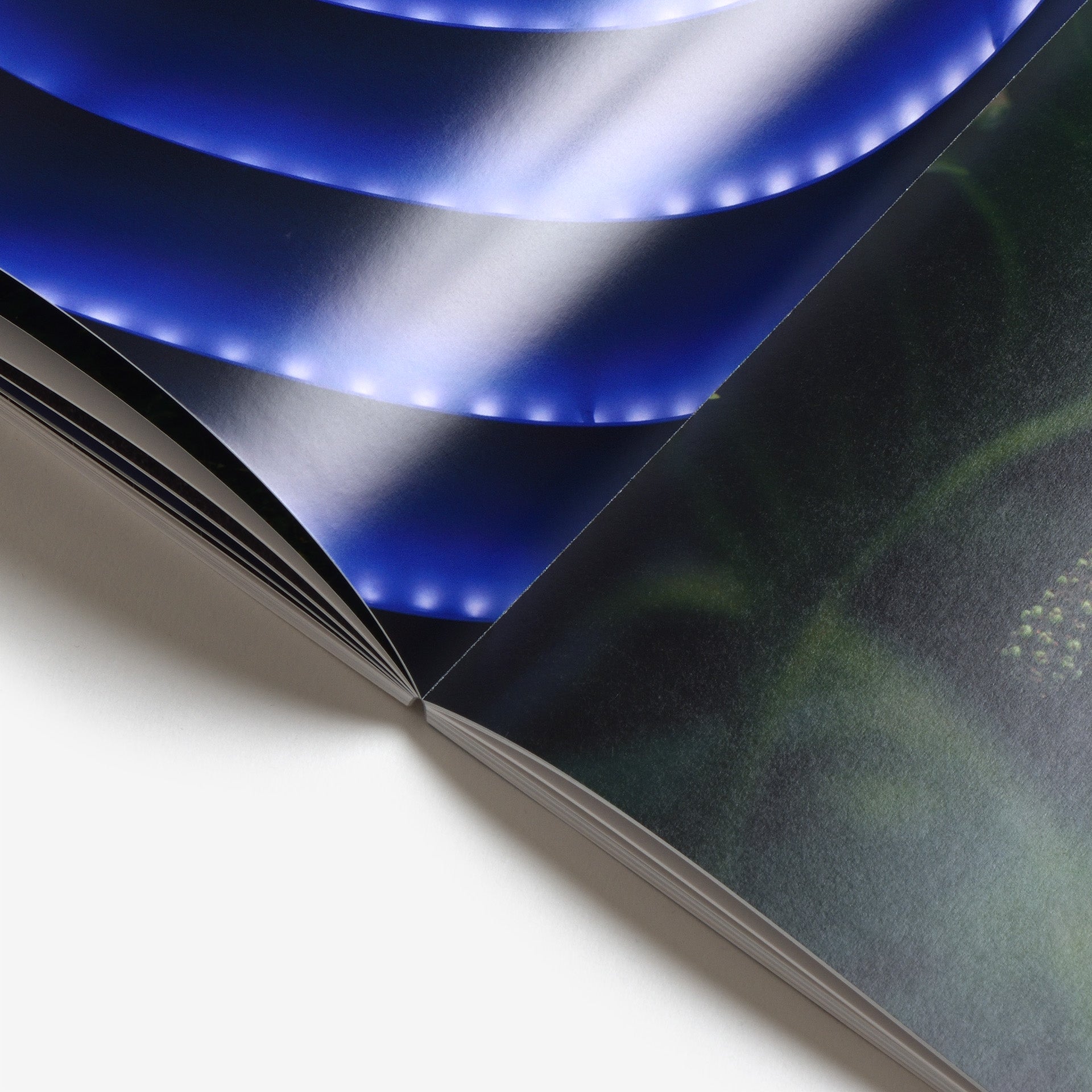 Ryo  Adachi: I Want To Check The Shape Of Trees