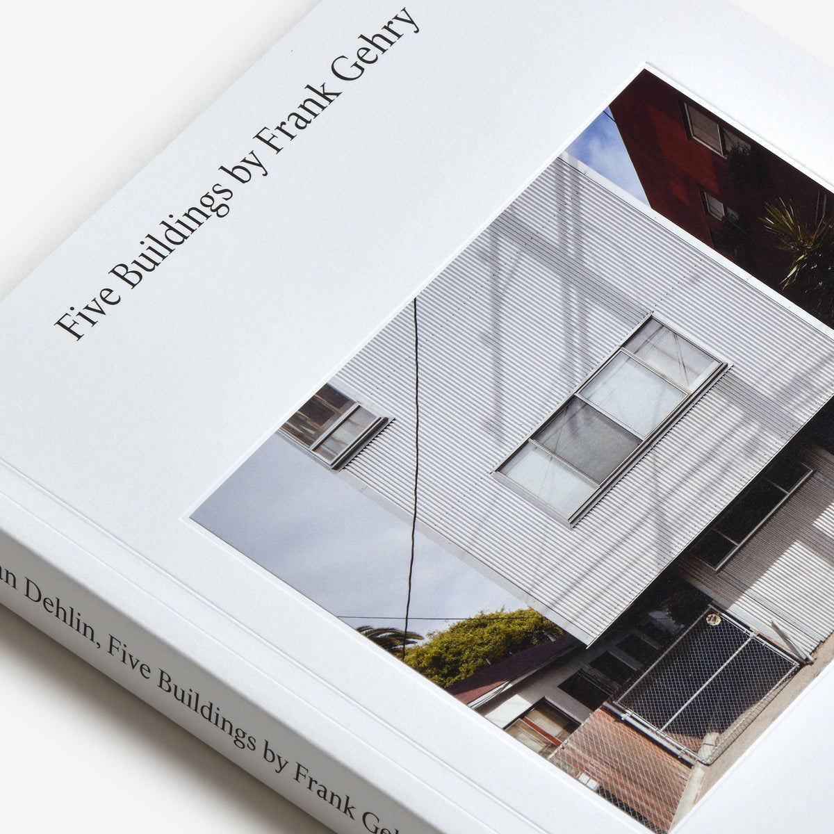 Johan Dehlin: Five Buildings by Frank Gehry