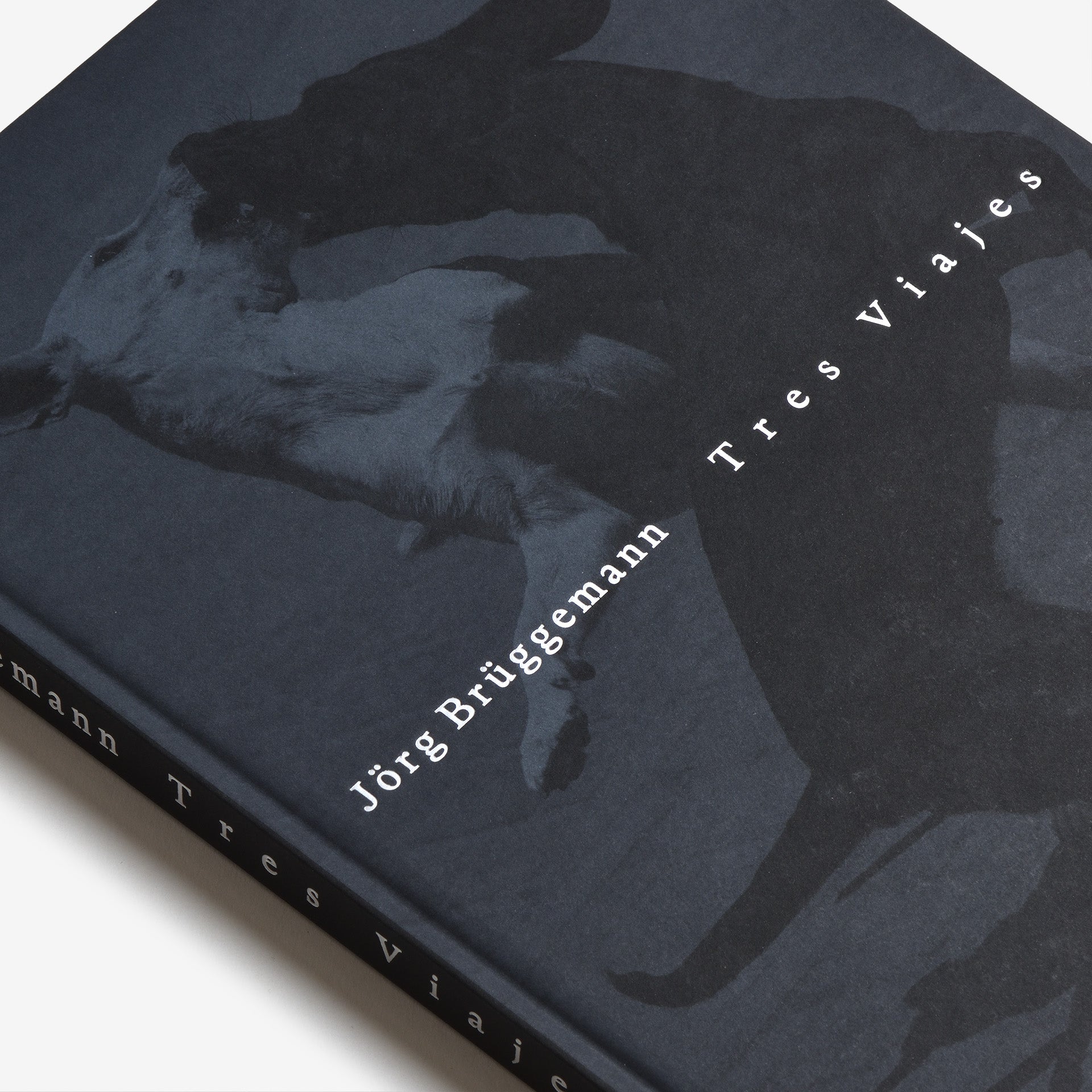 Jörg Brüggemann: Tres Viajes