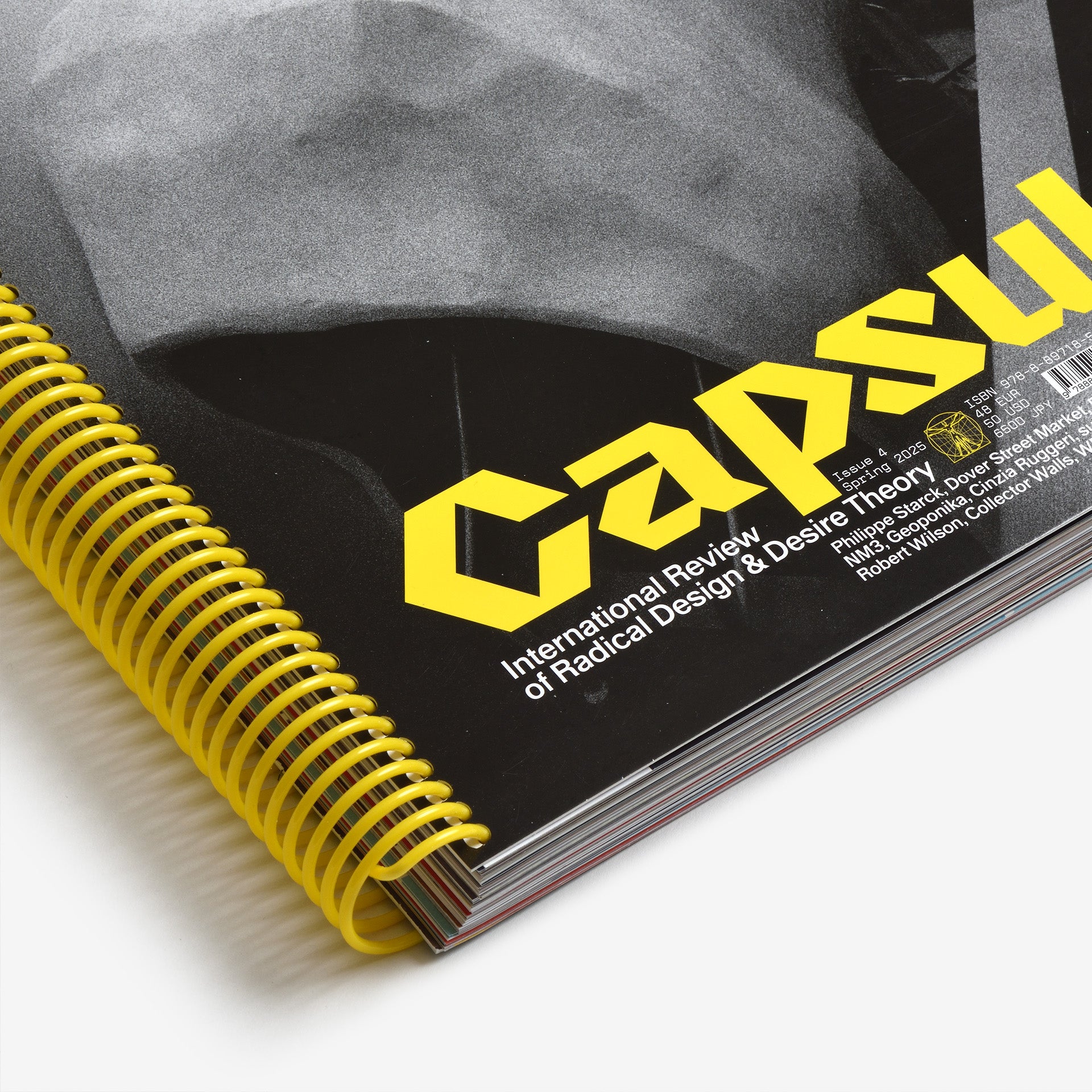 Capsule Issue 4 – The Architecture of DSM