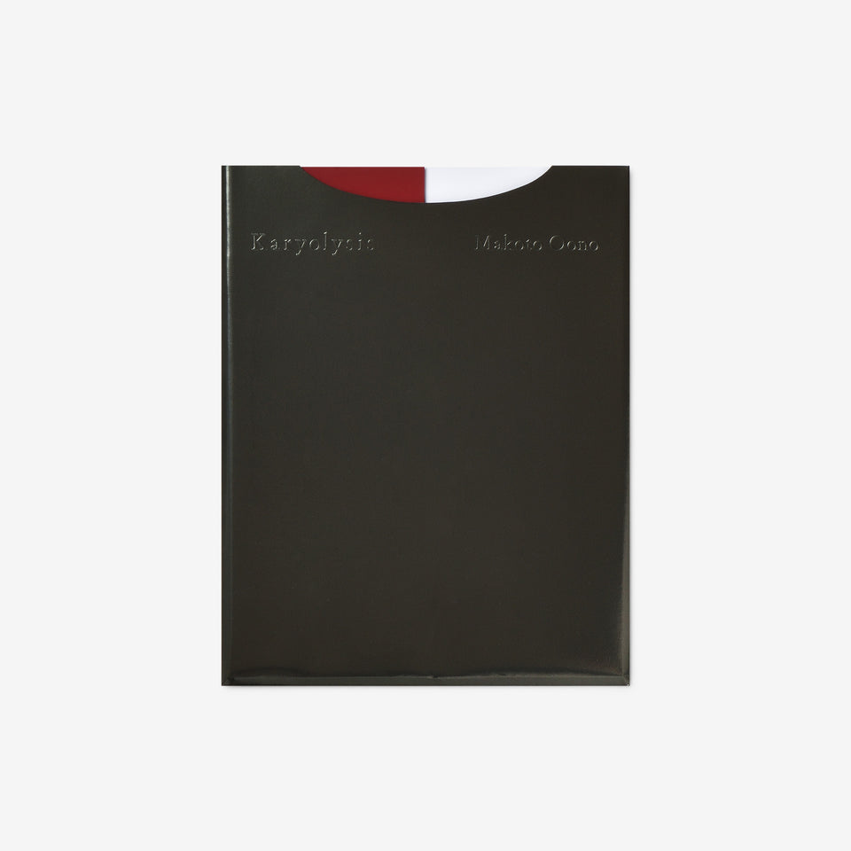 Makoto Oono: Karyolysis