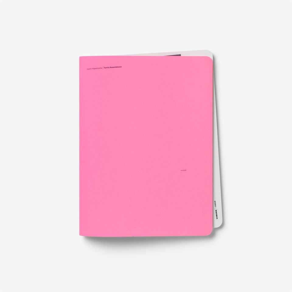 Yuichi Higashionna: Family Resemblance