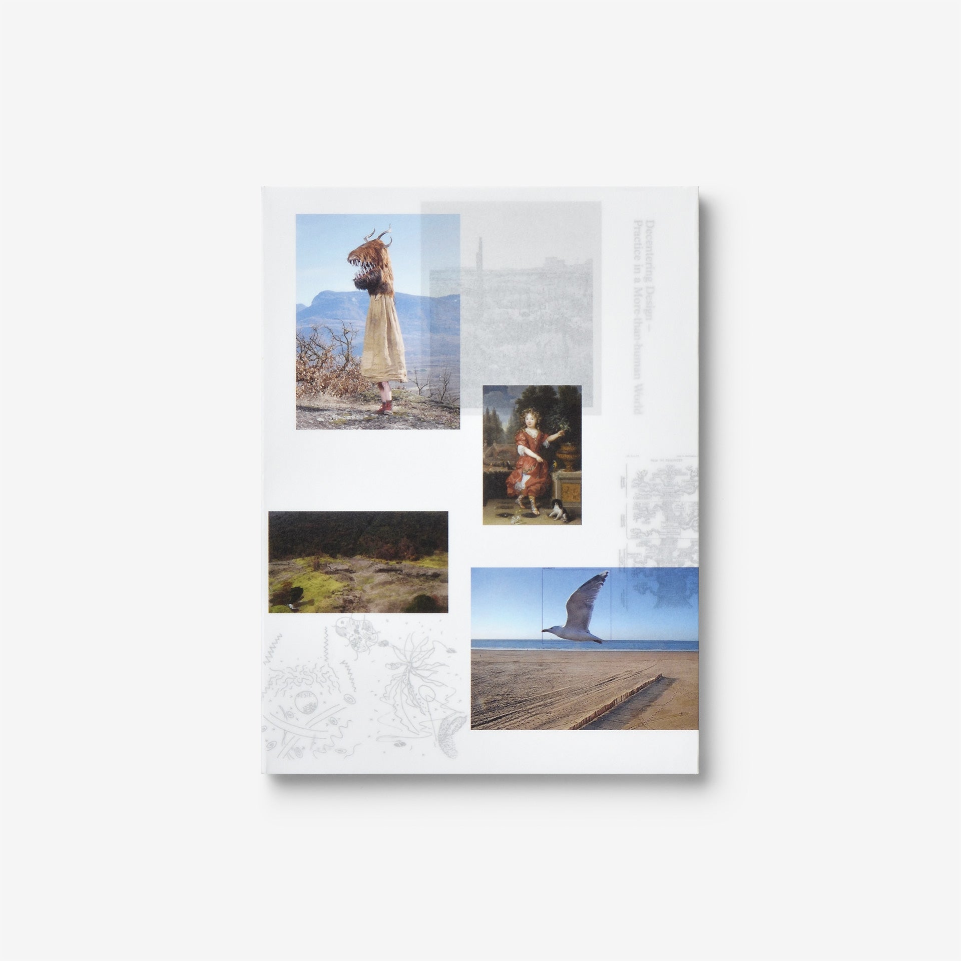 Decentering Design — Practice in a More-than-human World