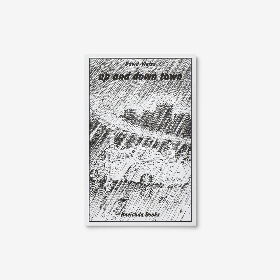 David Weiss: up and down town / Regenbüchlein