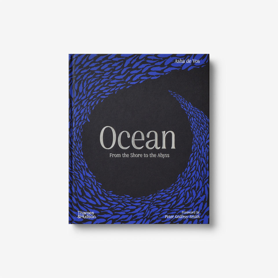 Ocean: From the Shore to the Abyss
