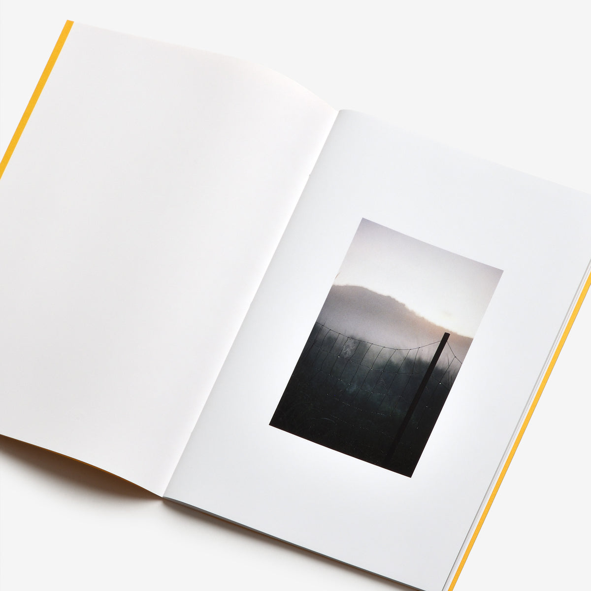 eternity in a day, Marisa Suda