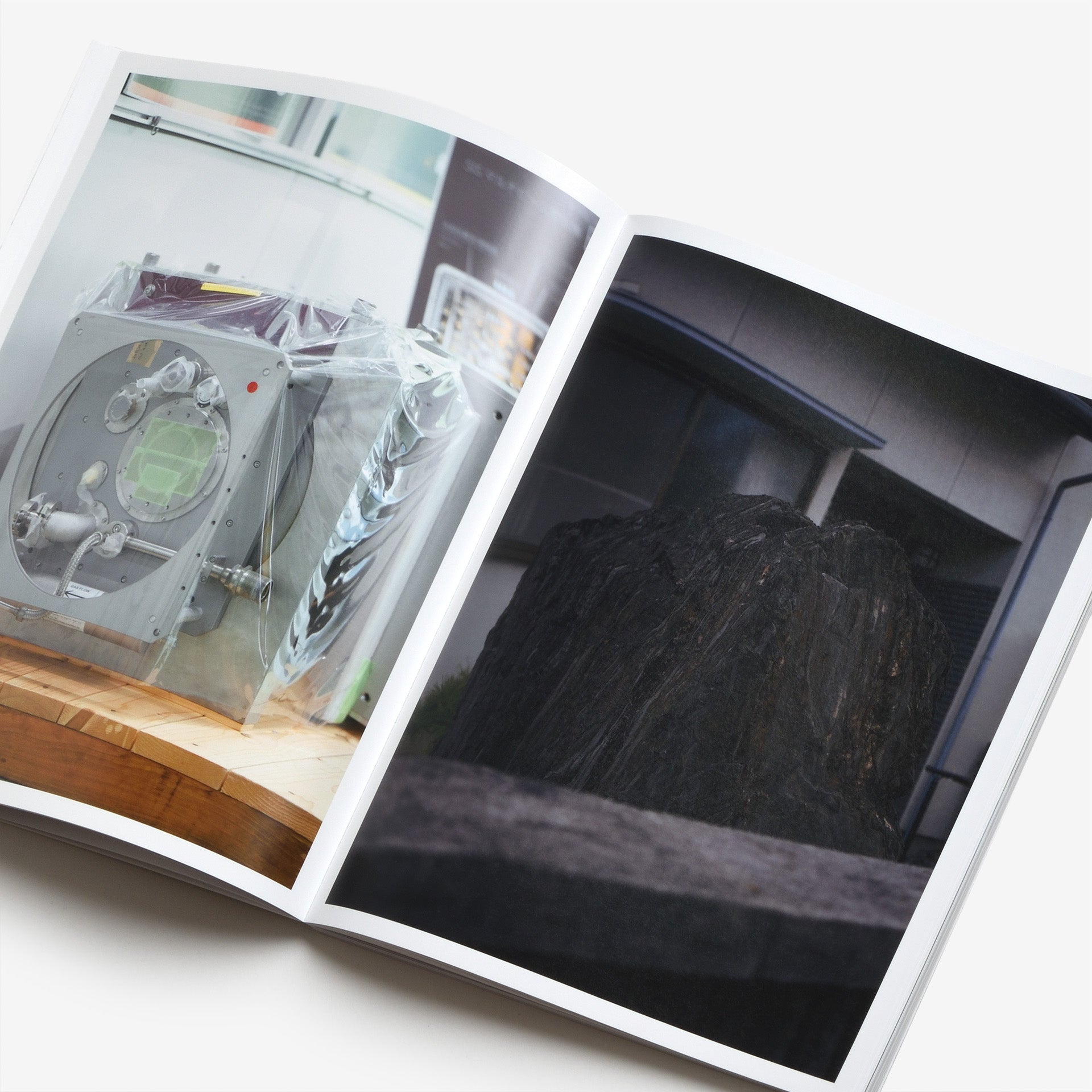 Ryo  Adachi: I Want To Check The Shape Of Trees