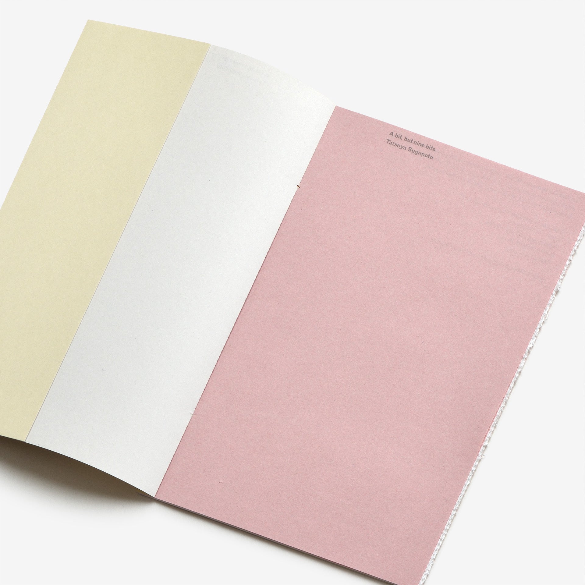 Tatsuya Sugimoto: A bit, but nine bits