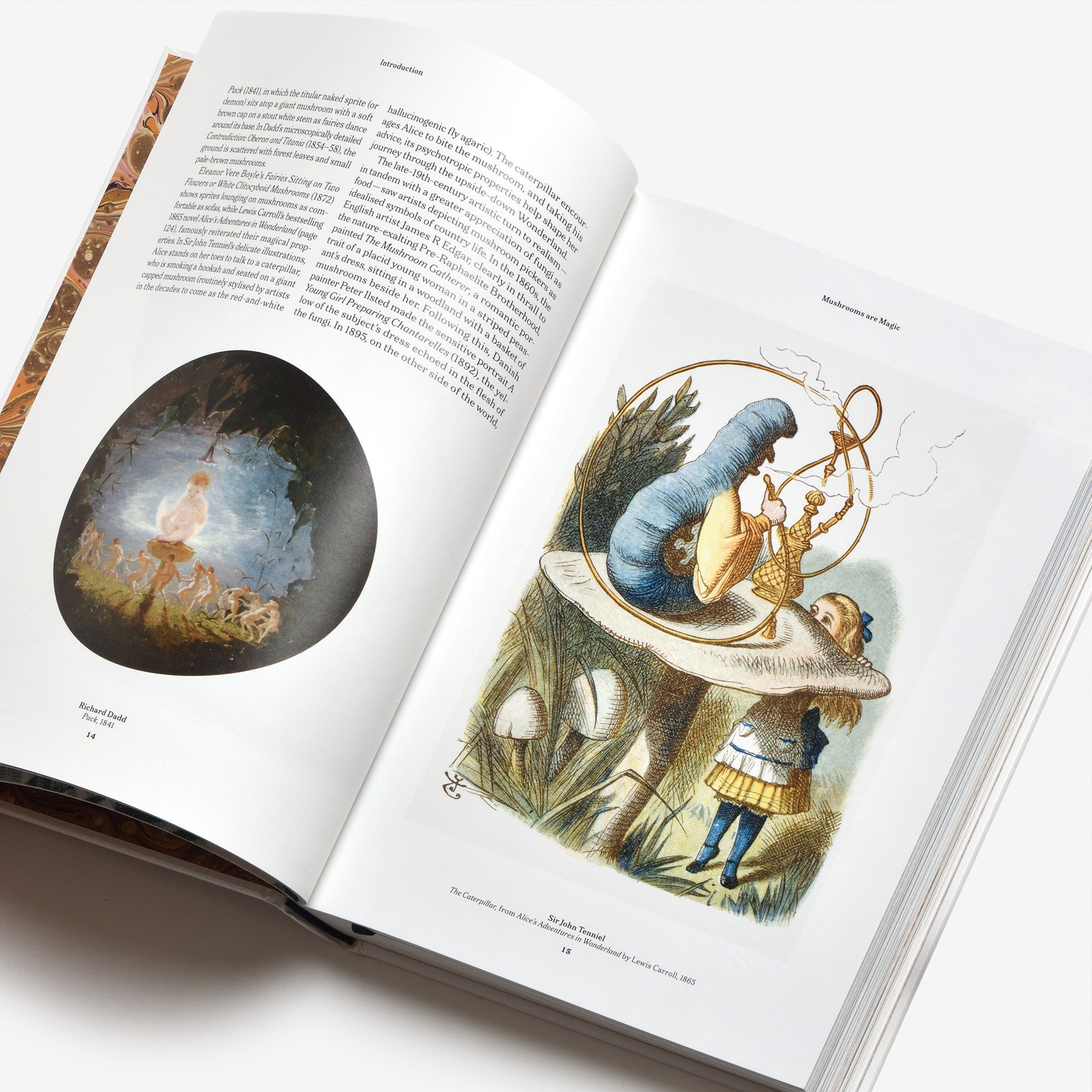 The Gourmand’s Mushroom: A Collection of Stories and Recipes