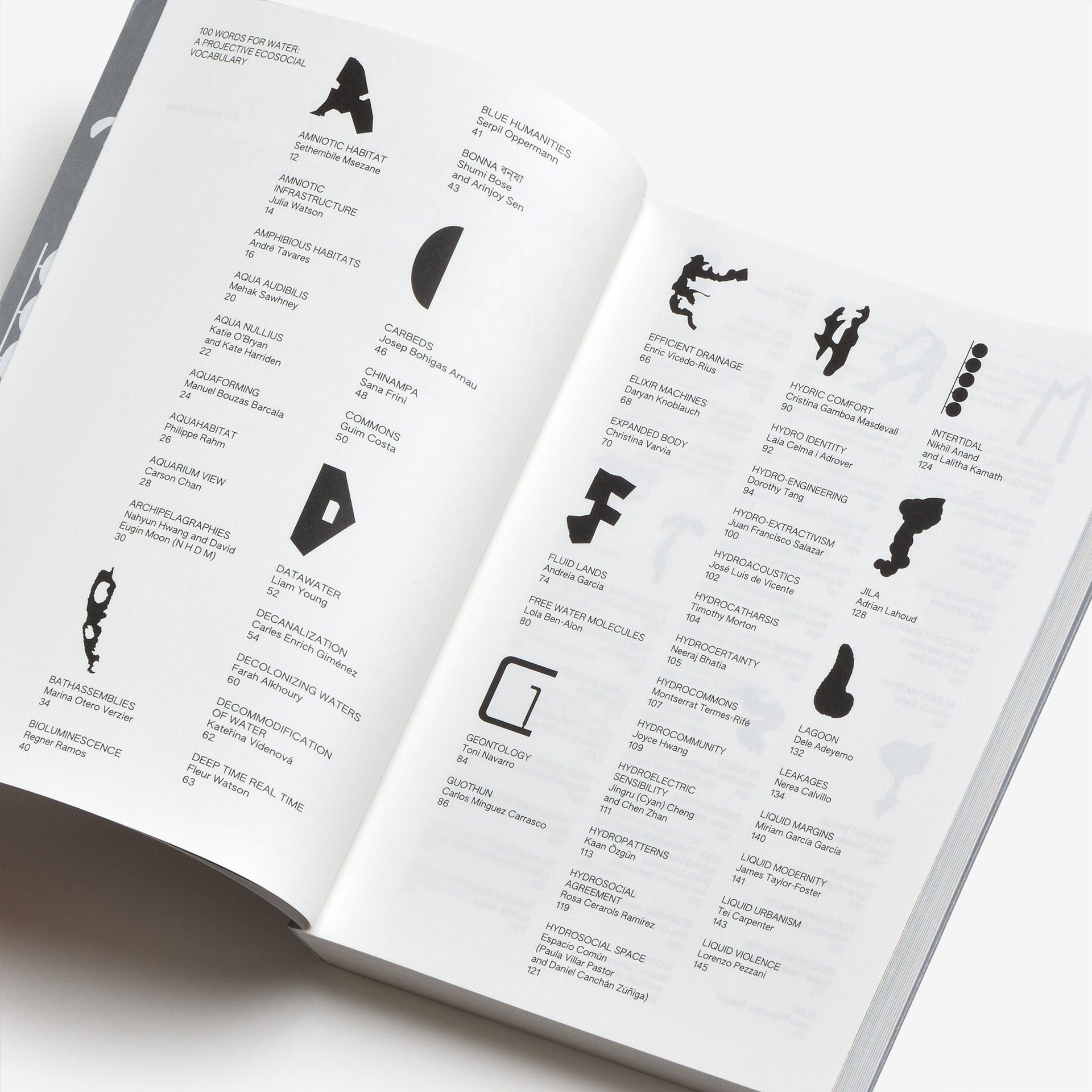 100 Words for Water: A Projective Ecosocial Vocabulary