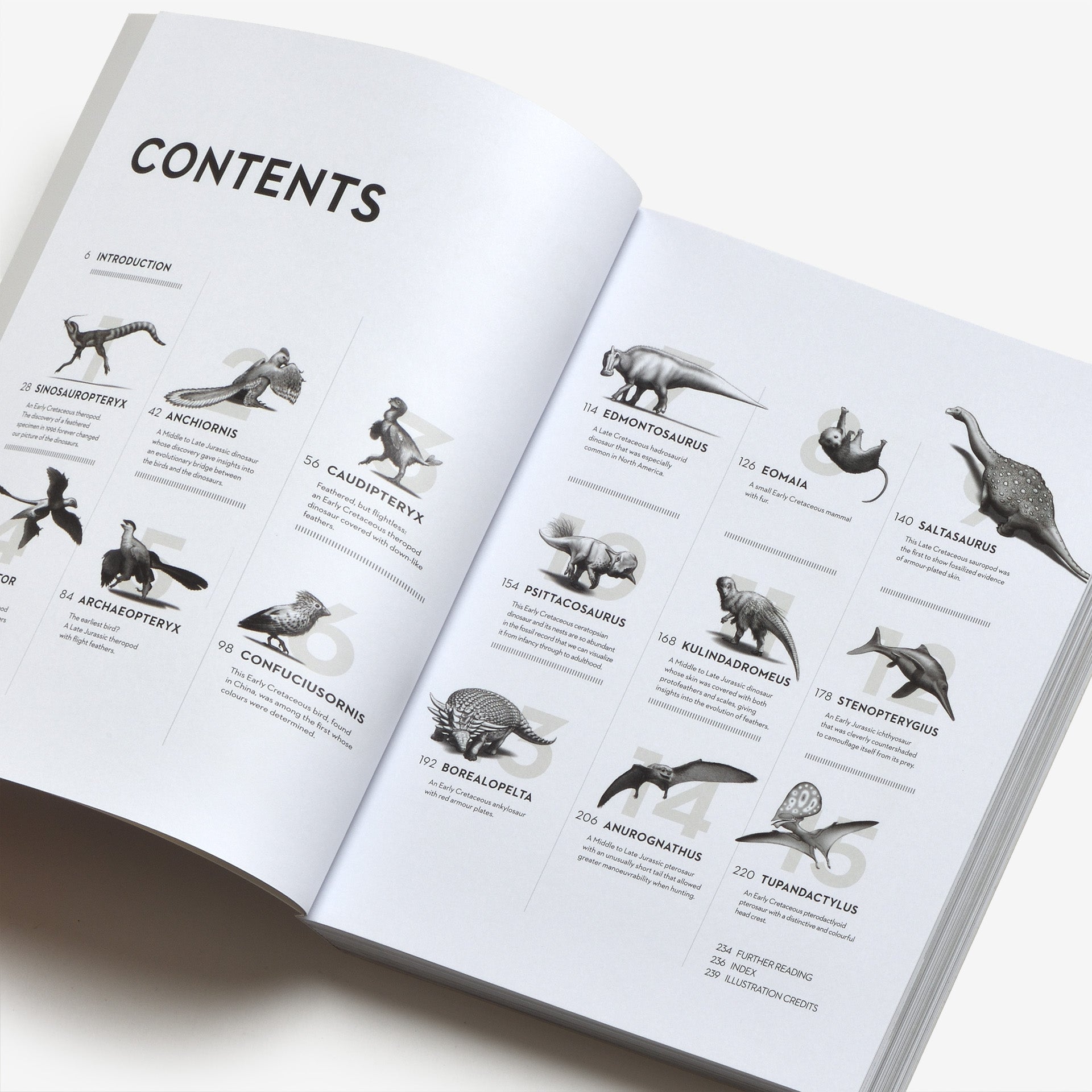 Dinosaurs: New Visions of a Lost World