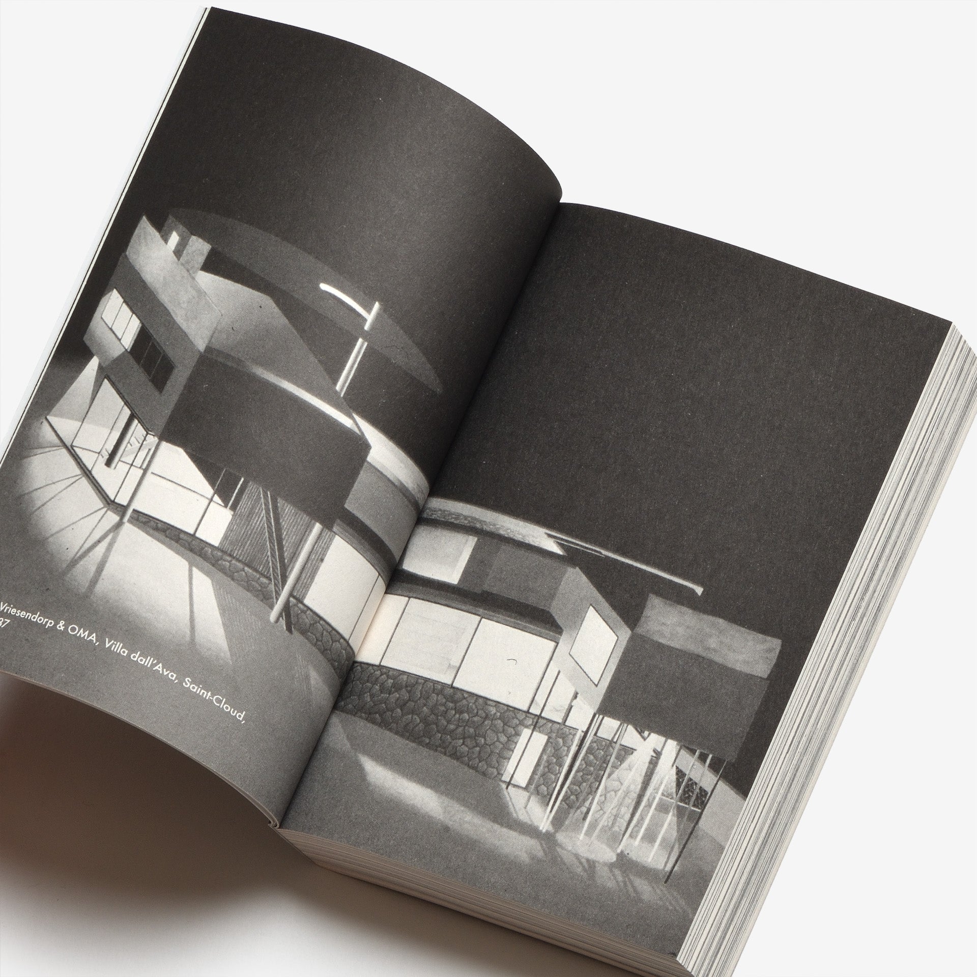 The House of Doctor Koolhaas