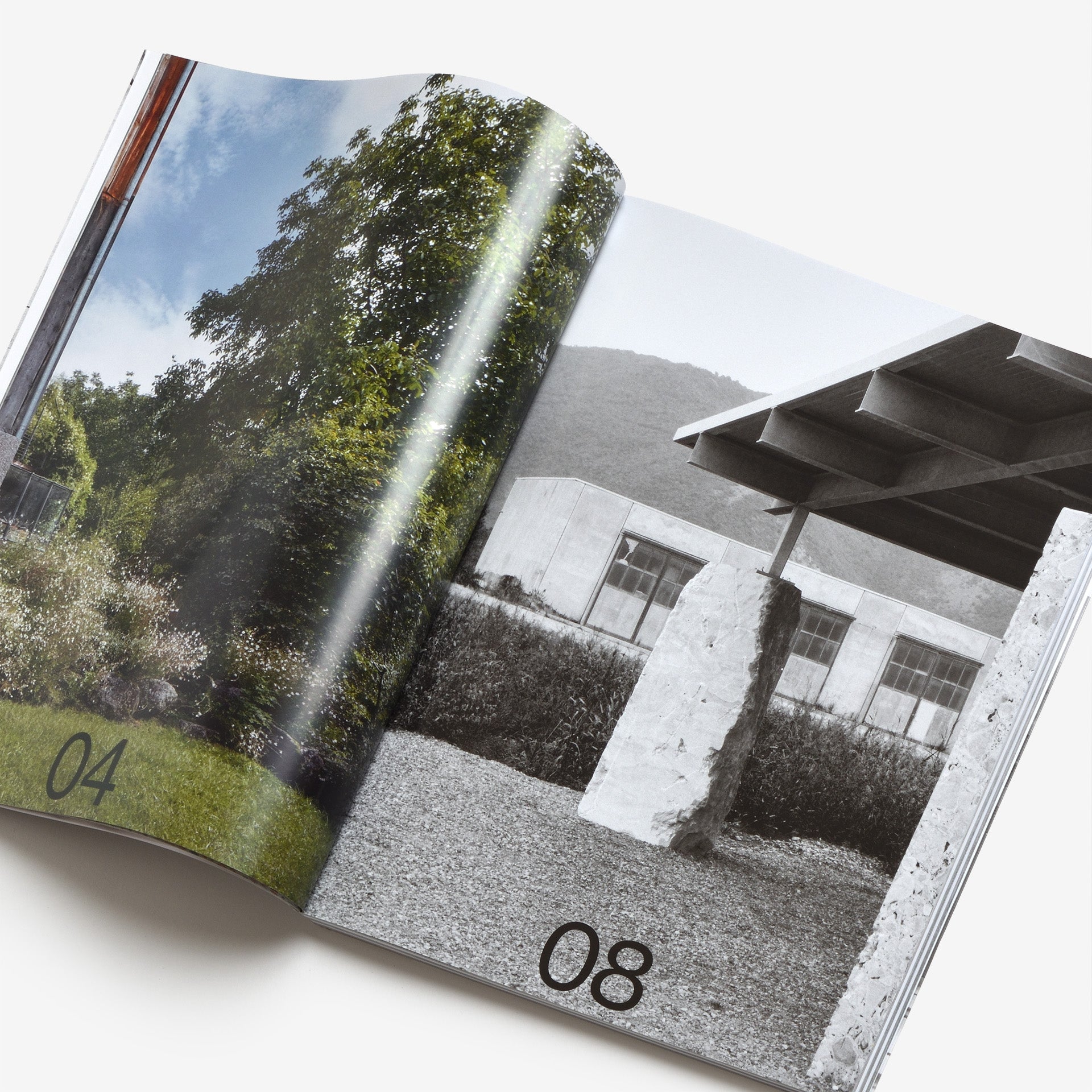 Ordinary Beauty: An Italian Scenario