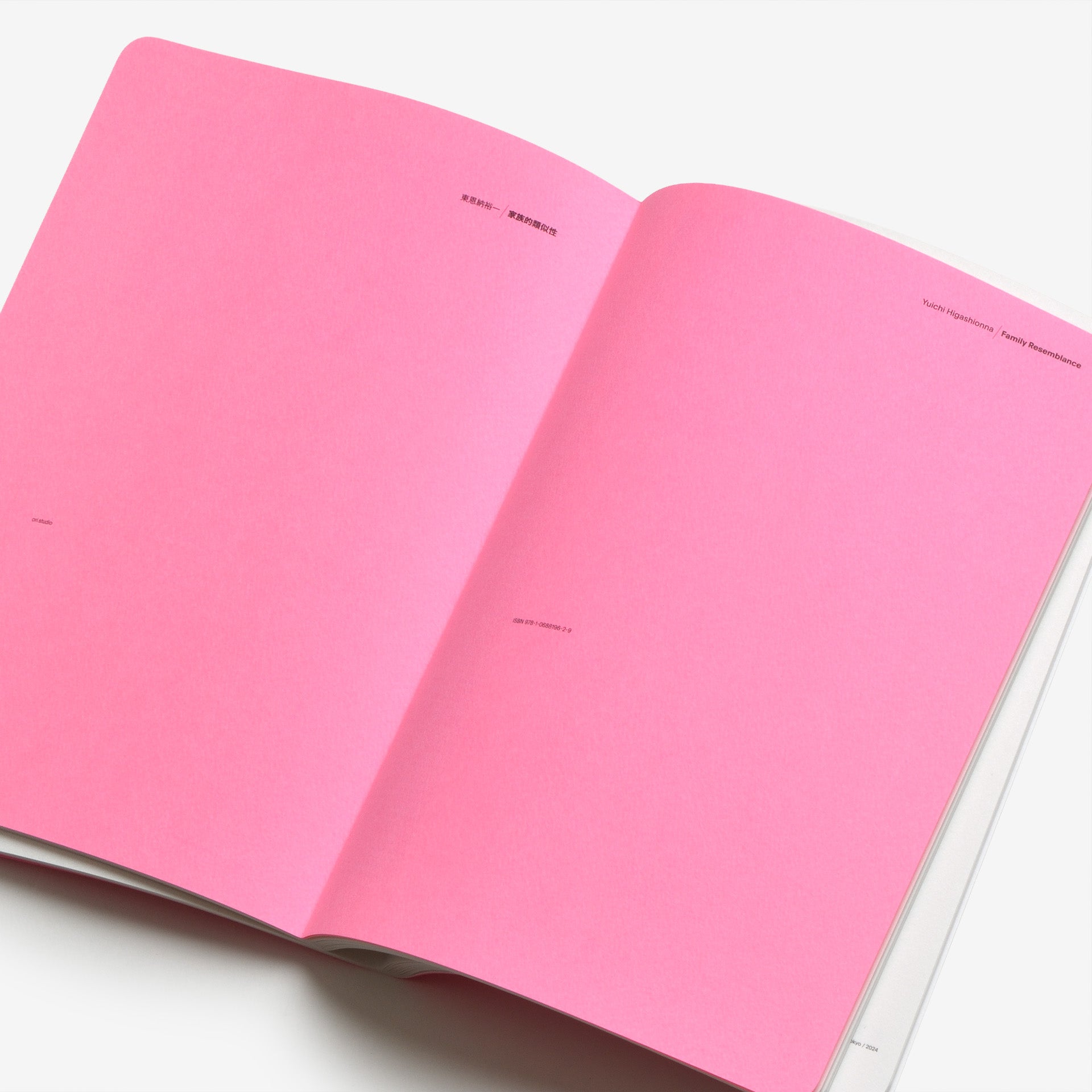 Yuichi Higashionna: Family Resemblance