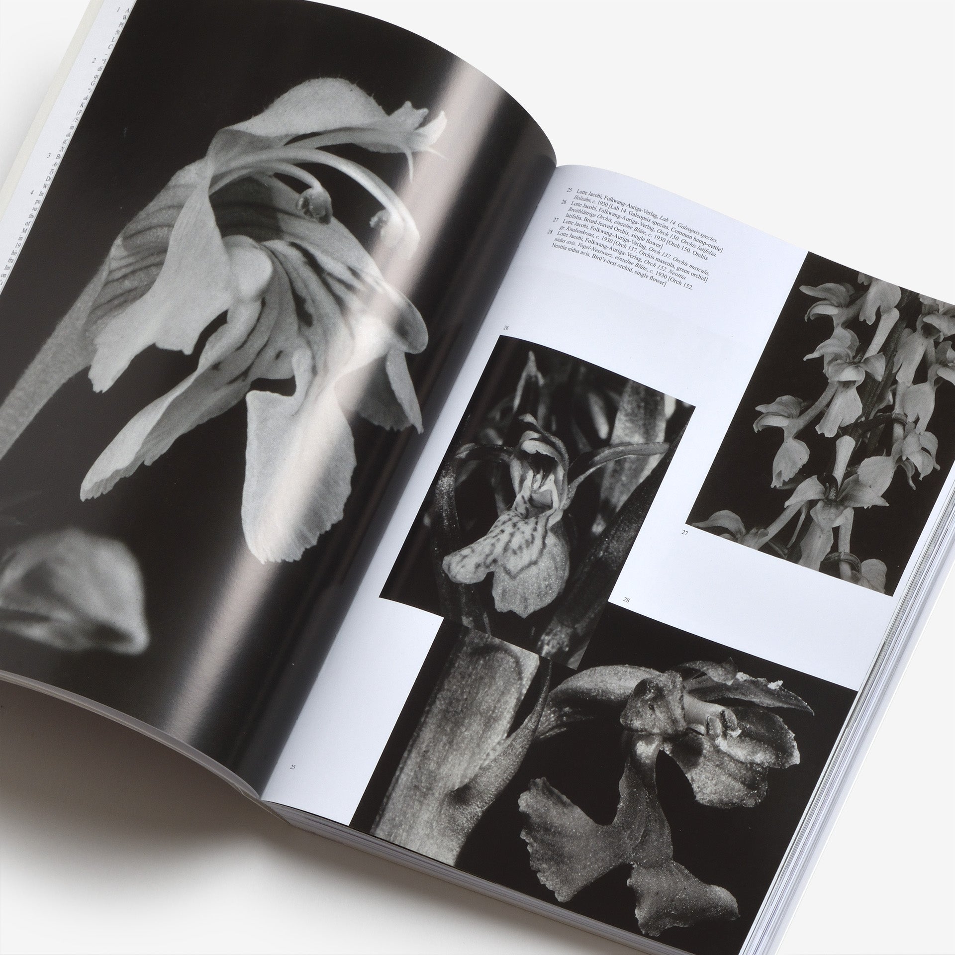 「Typologien」が登場！ Typologien: Photography In 20th Century Germany | North East