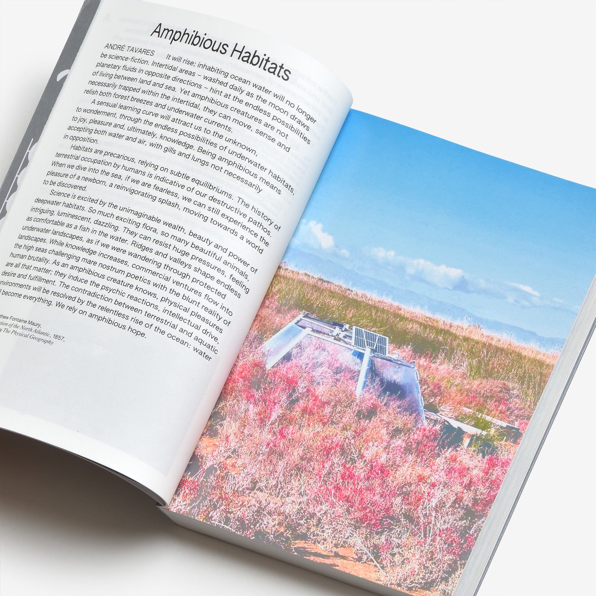 100 Words for Water: A Projective Ecosocial Vocabulary