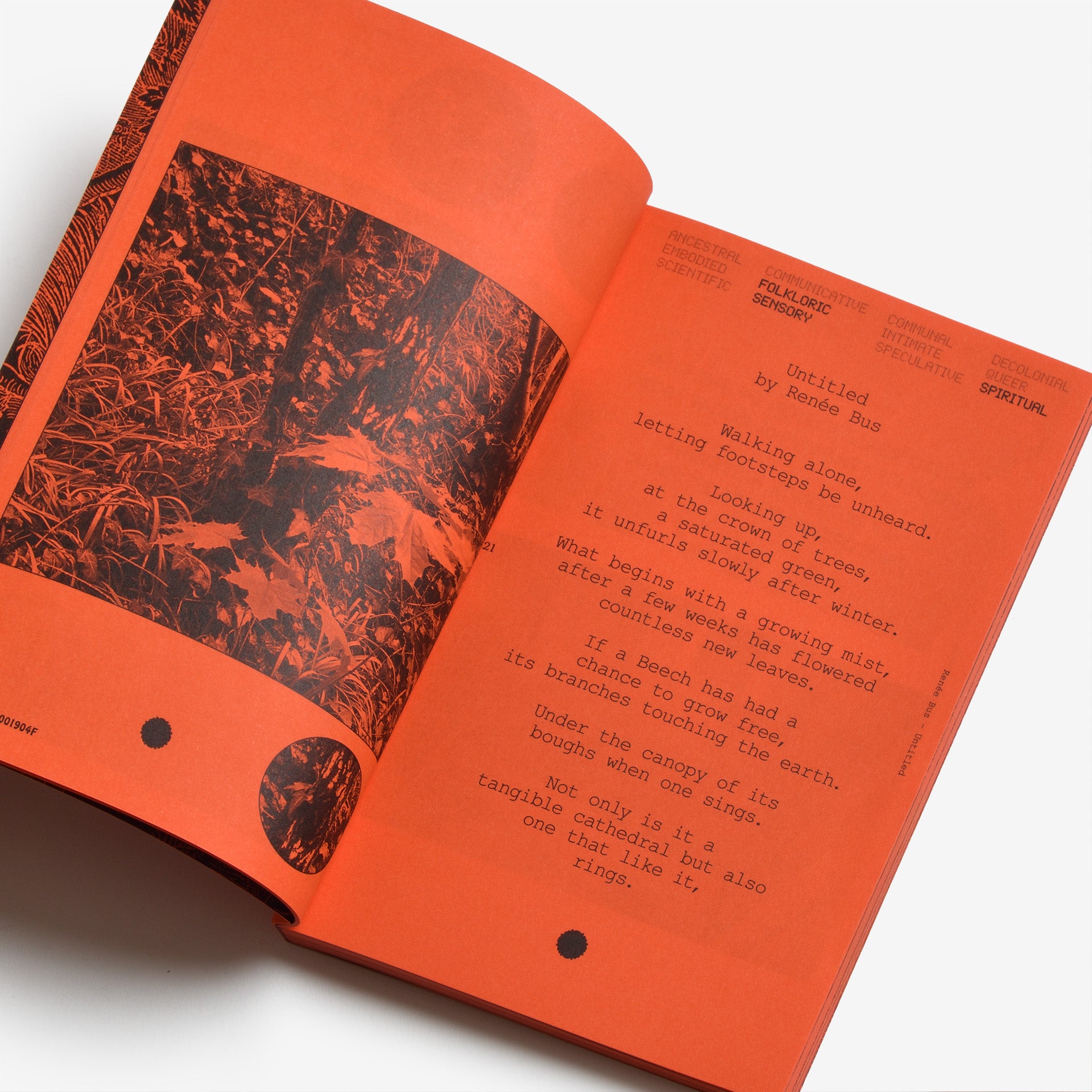 A Tree, A Reader on Arboreal Kinship