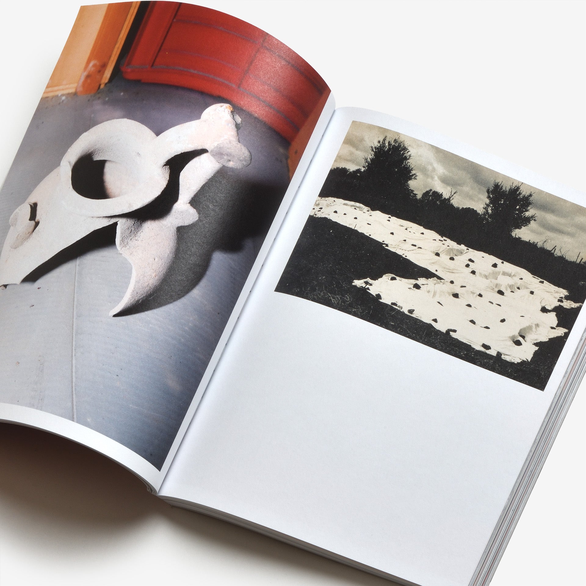 Giorgio Di Noto: Hidden Collections