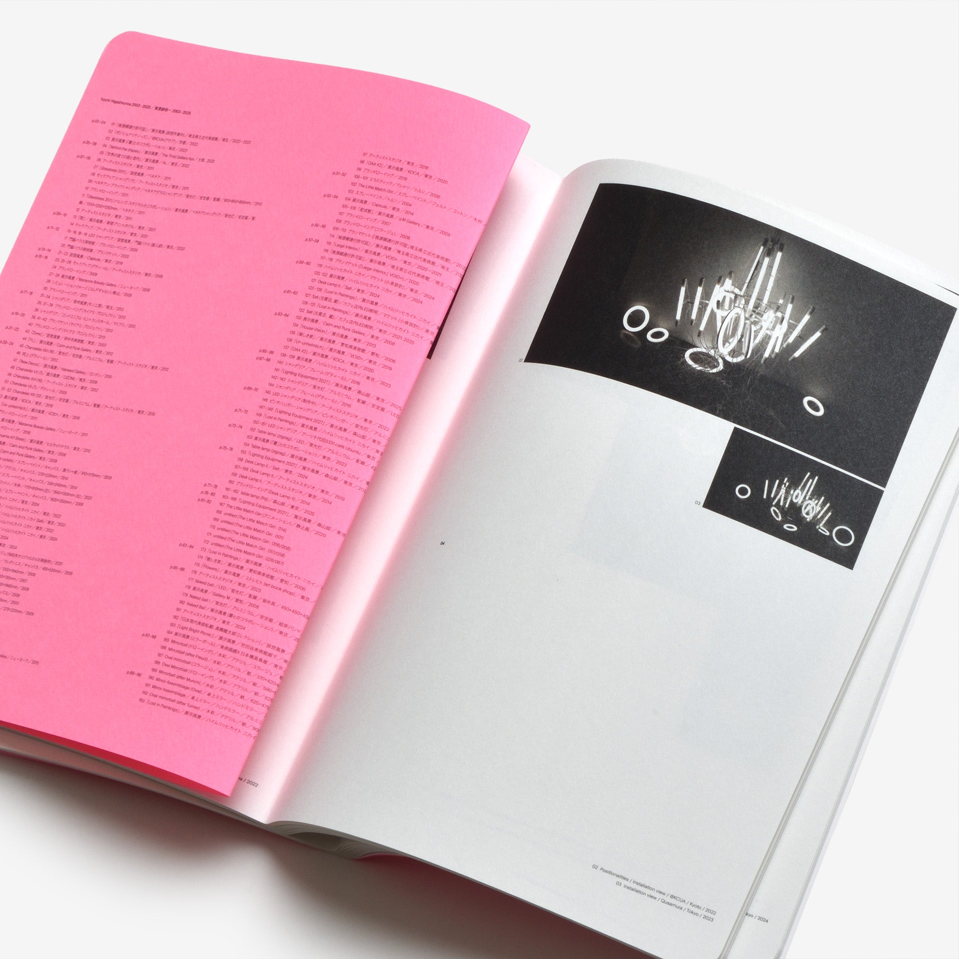 Yuichi Higashionna: Family Resemblance