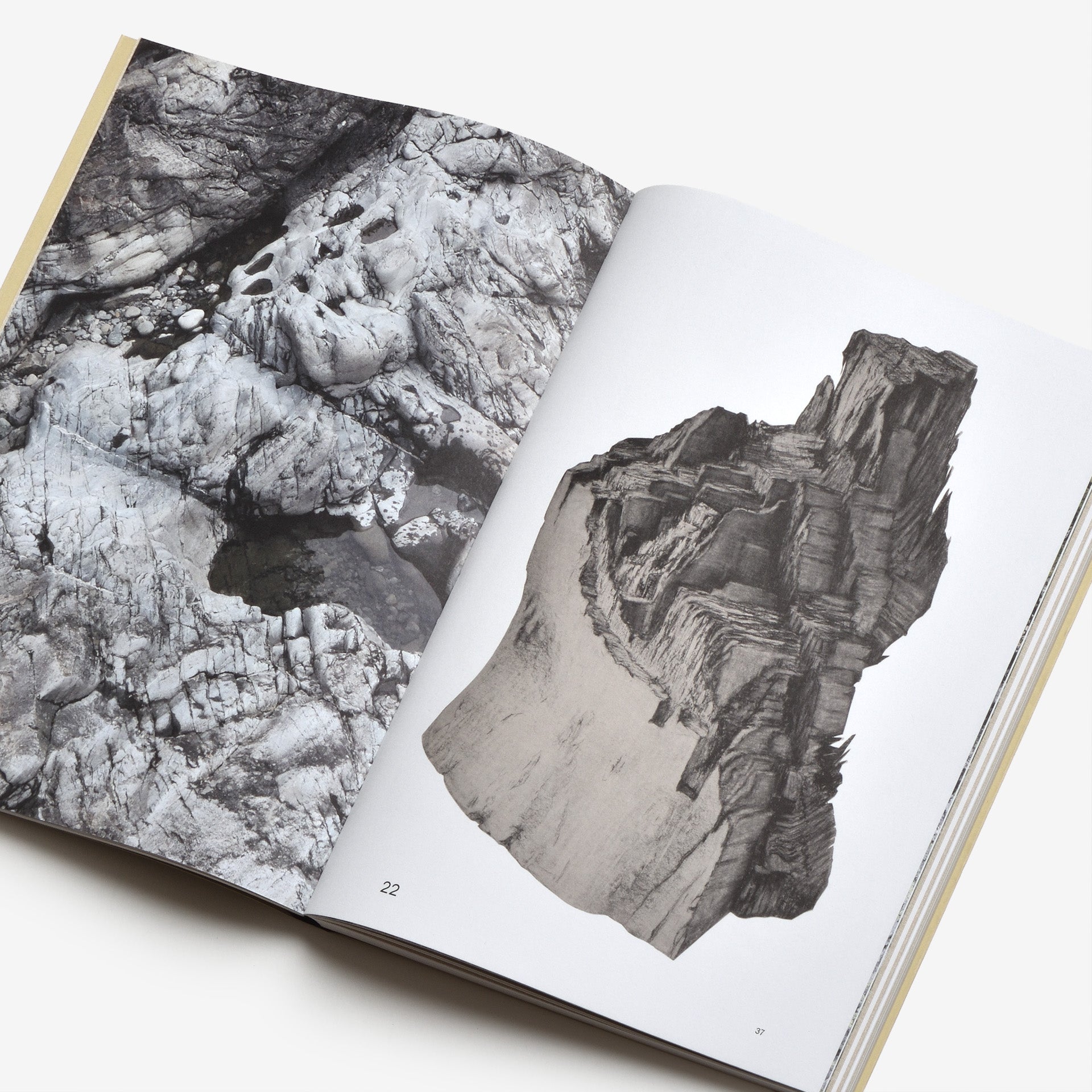 Sabina Timmermans: Sharing the Land