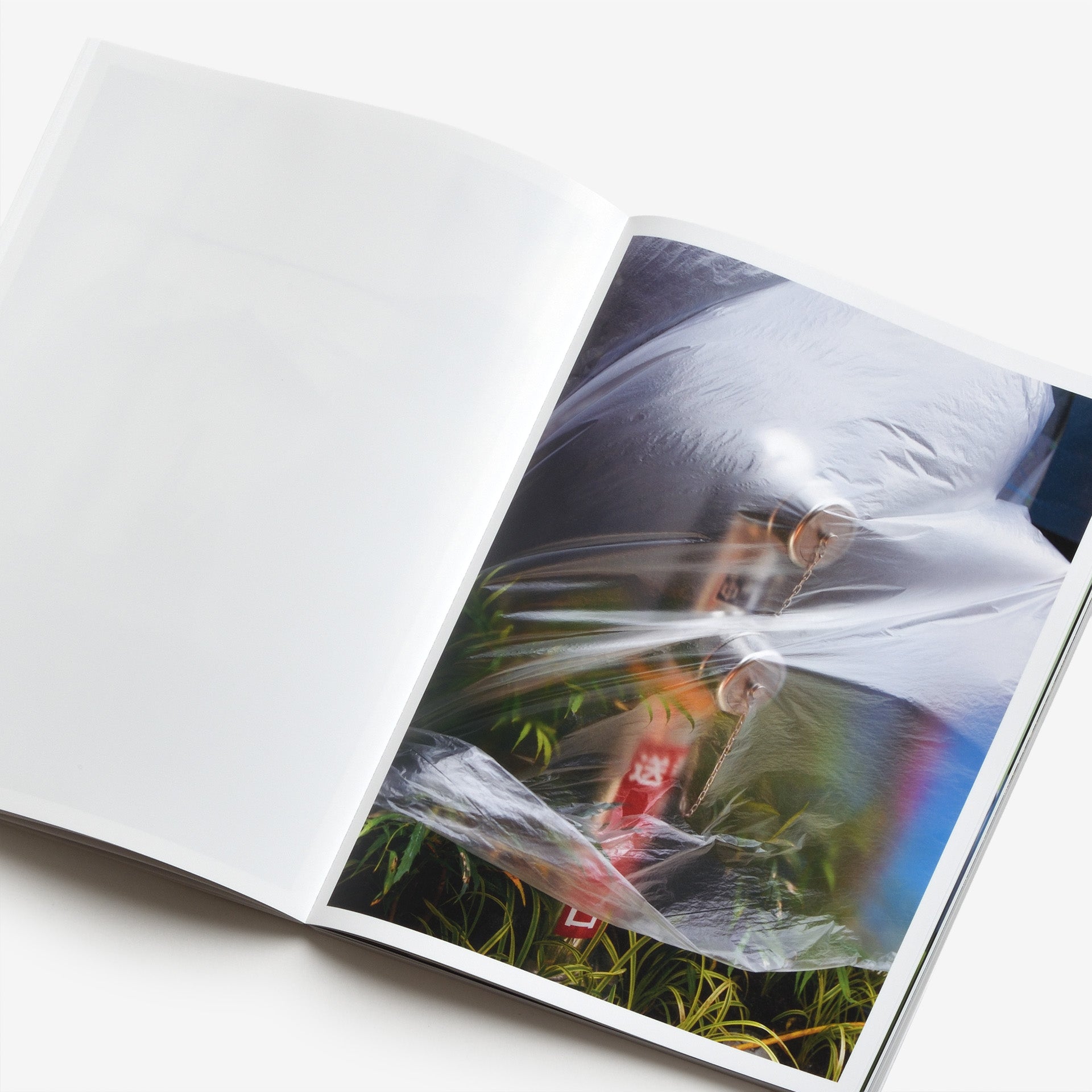 Ryo  Adachi: I Want To Check The Shape Of Trees