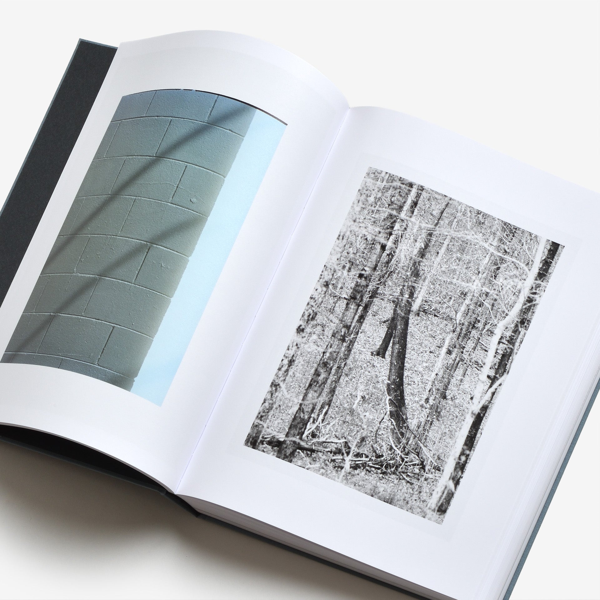 Daniel Shea: Distribution（サイン入り）