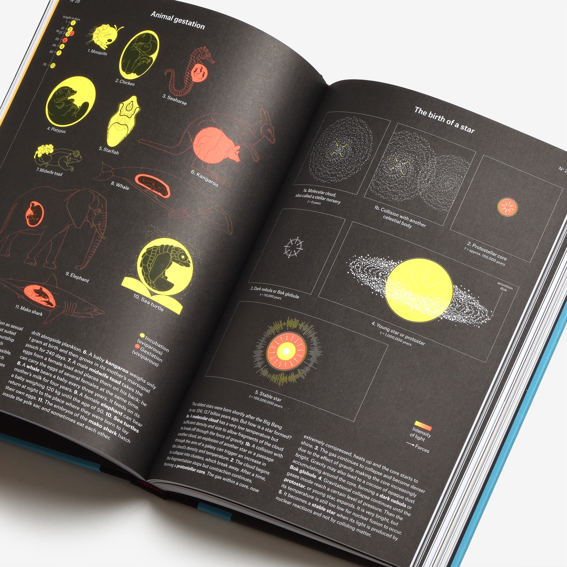 Phenomena: An Infographic Guide to Almost Everything