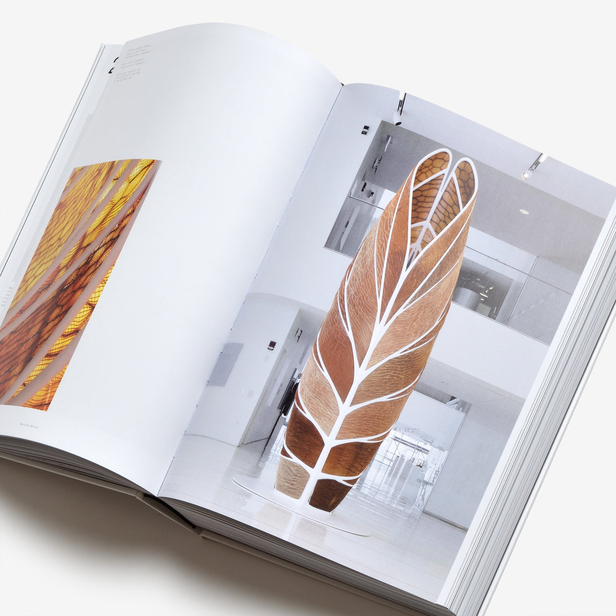 Mediated Matter: Design & Invention in the New Biological Age