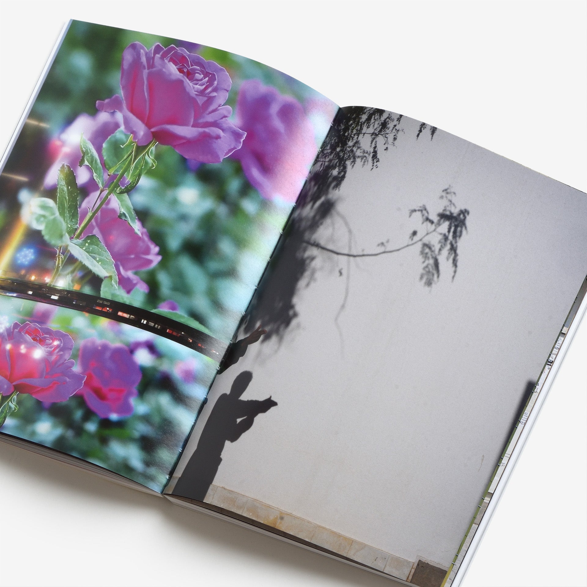 Asia Issue 01 | North East