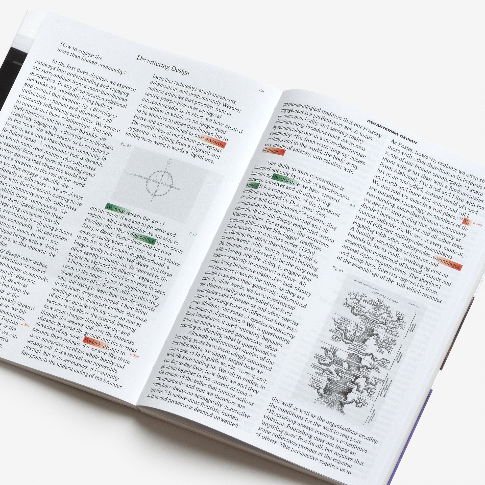 Decentering Design — Practice in a More-than-human World