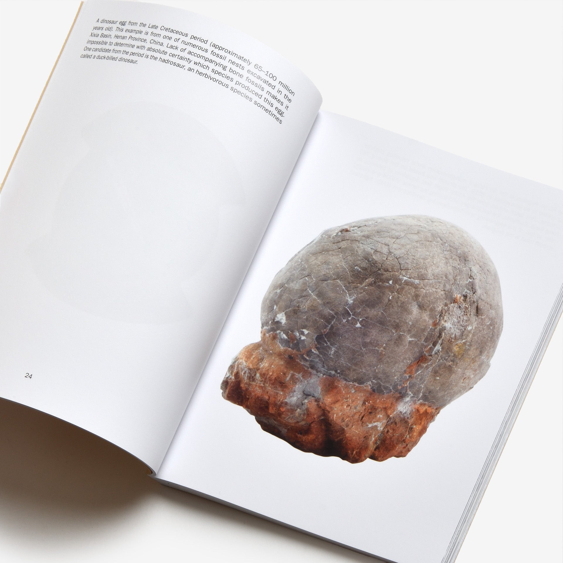 Trevor Paglen: From the Archives of Peter Merlin, Aviation Archaeologist