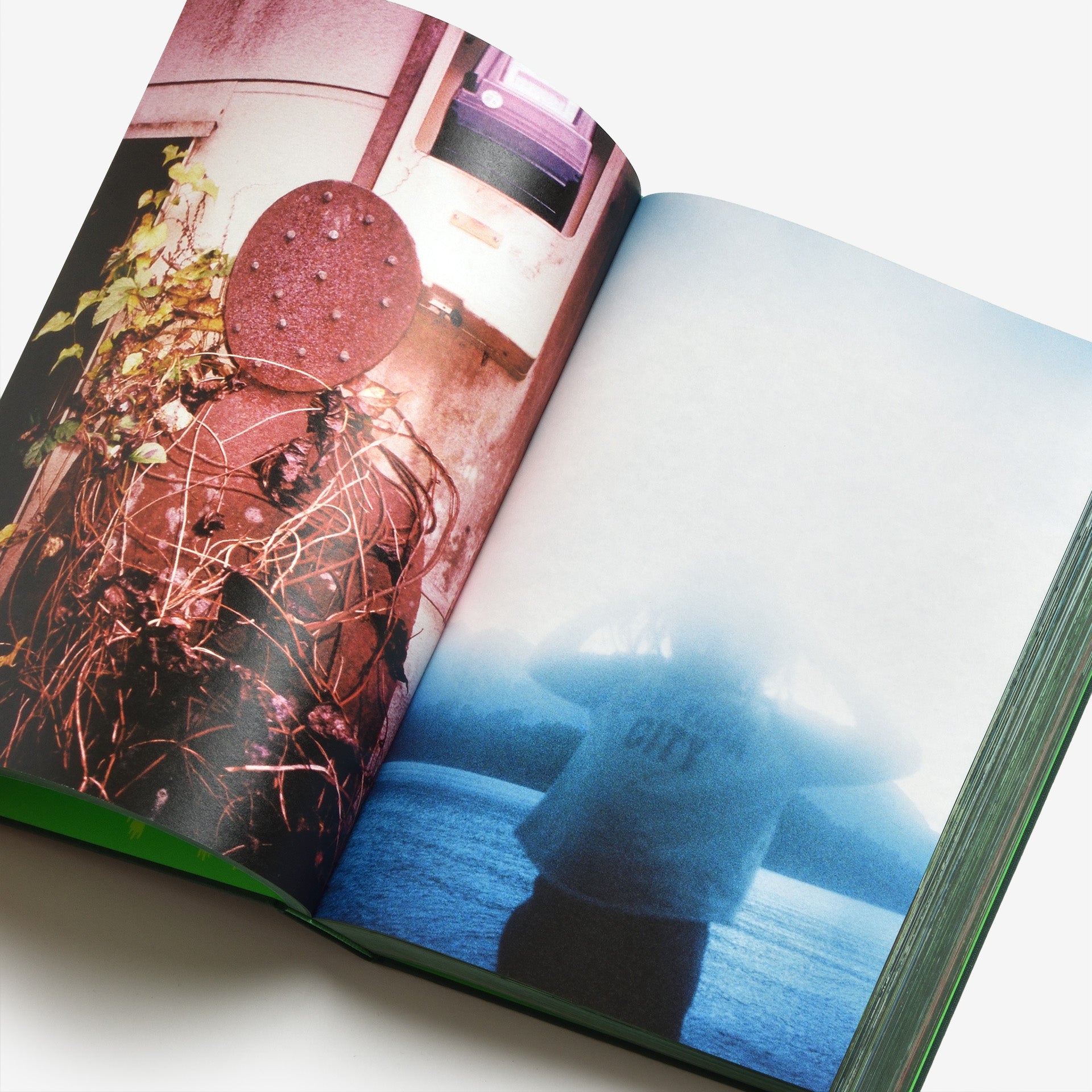 Misha Hollenbach: PSY LYF (C)