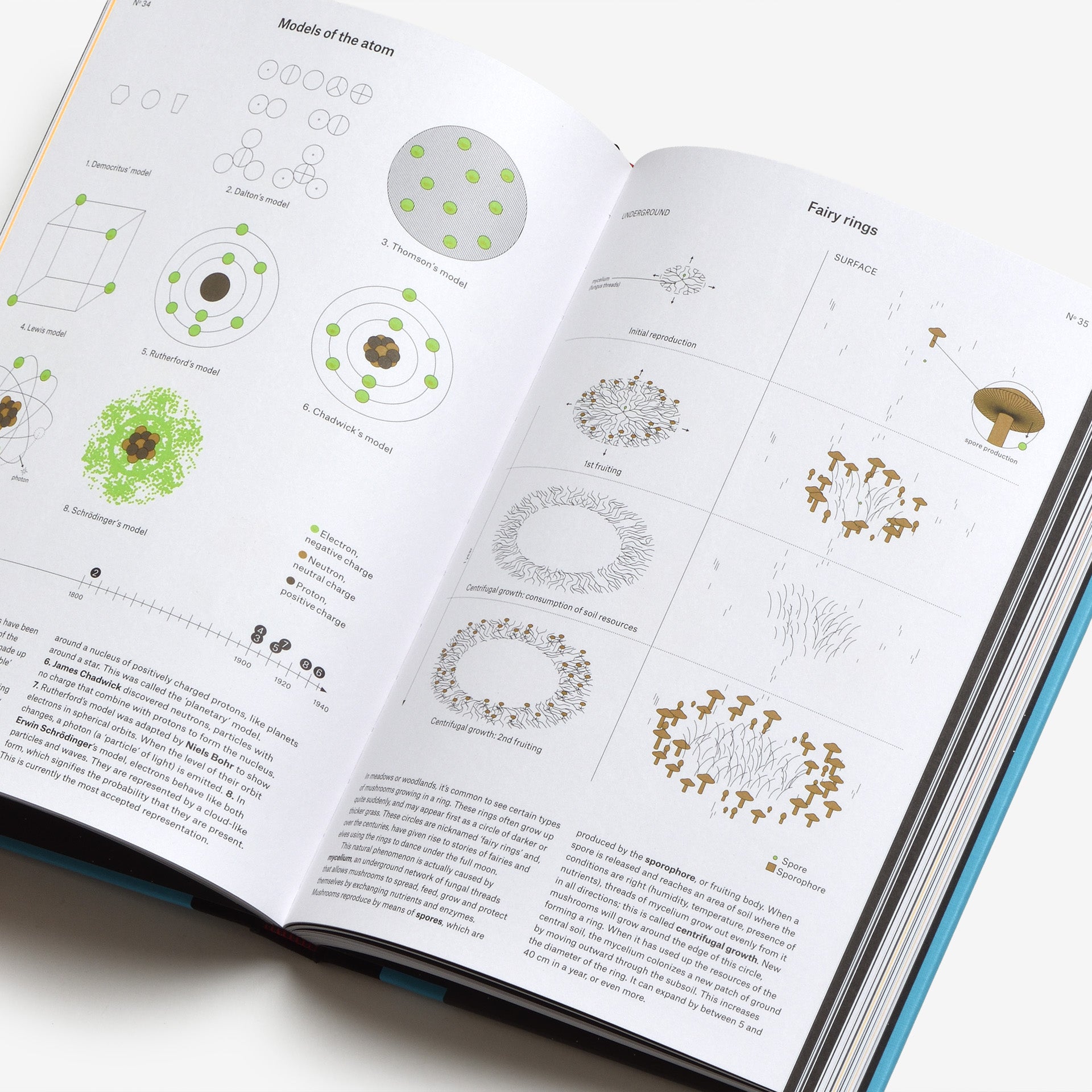 Phenomena: An Infographic Guide to Almost Everything