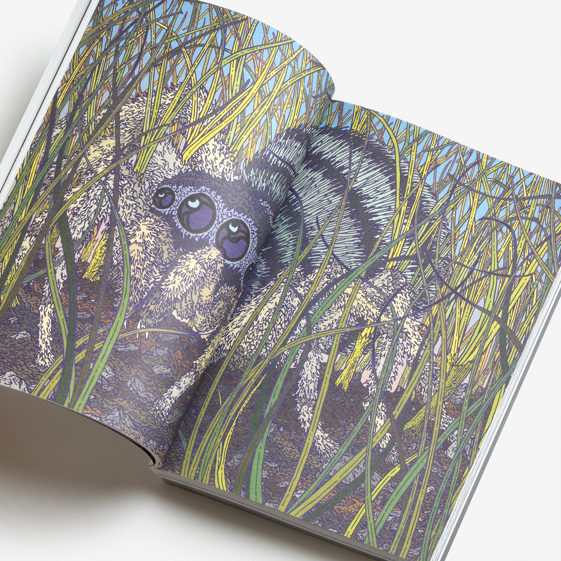 Formafantasma: Down Under - The Curious Fall of a Child Who Knew Nothing and Became Everything