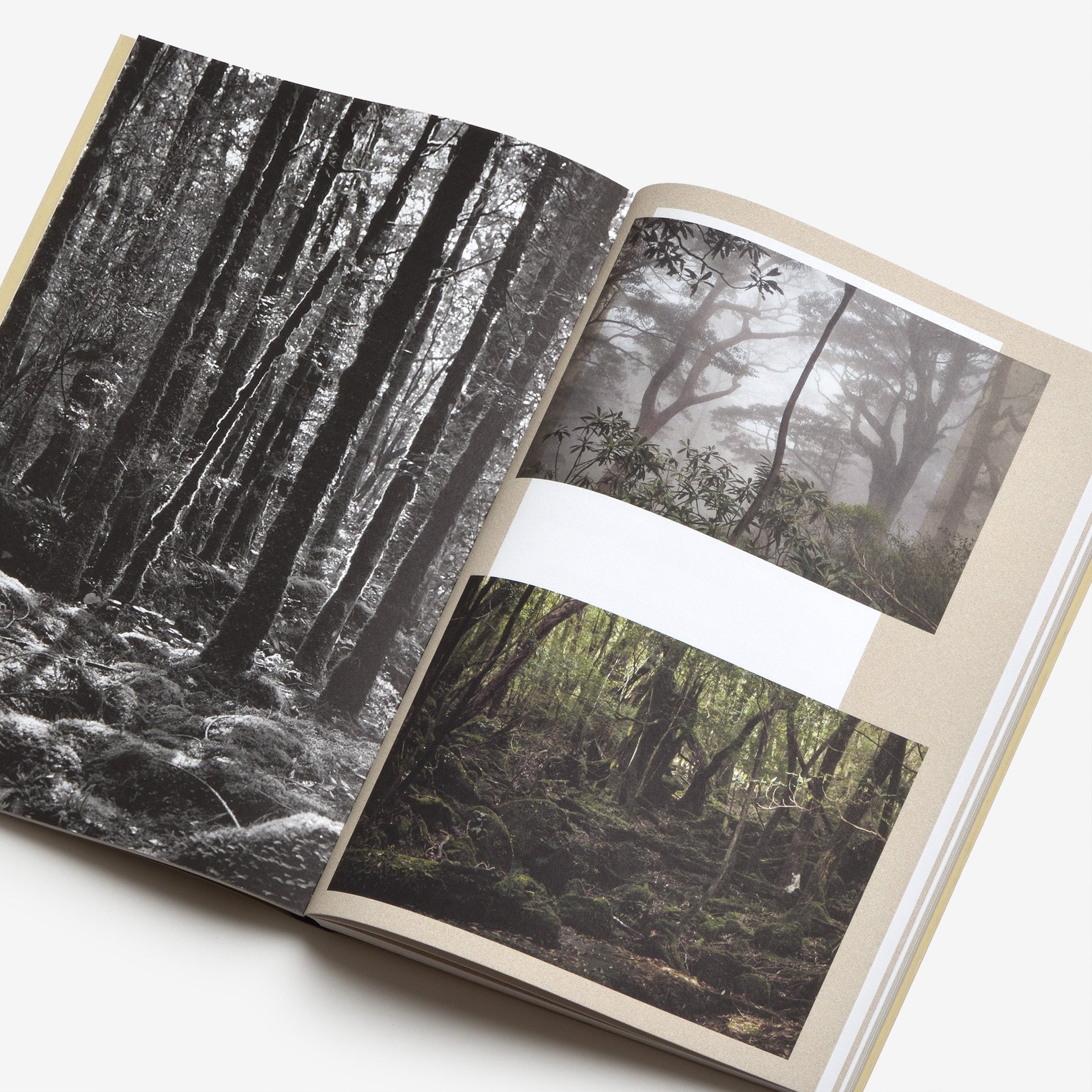 Sabina Timmermans: Sharing the Land