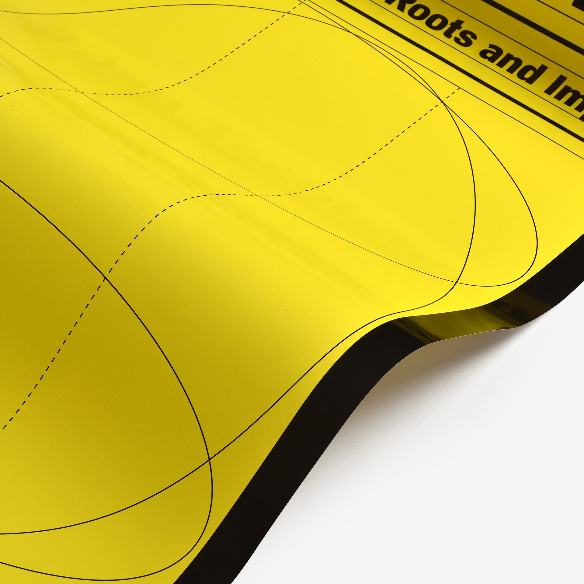 Jan Tschichold's The New Typography: Its Roots and Impact on
