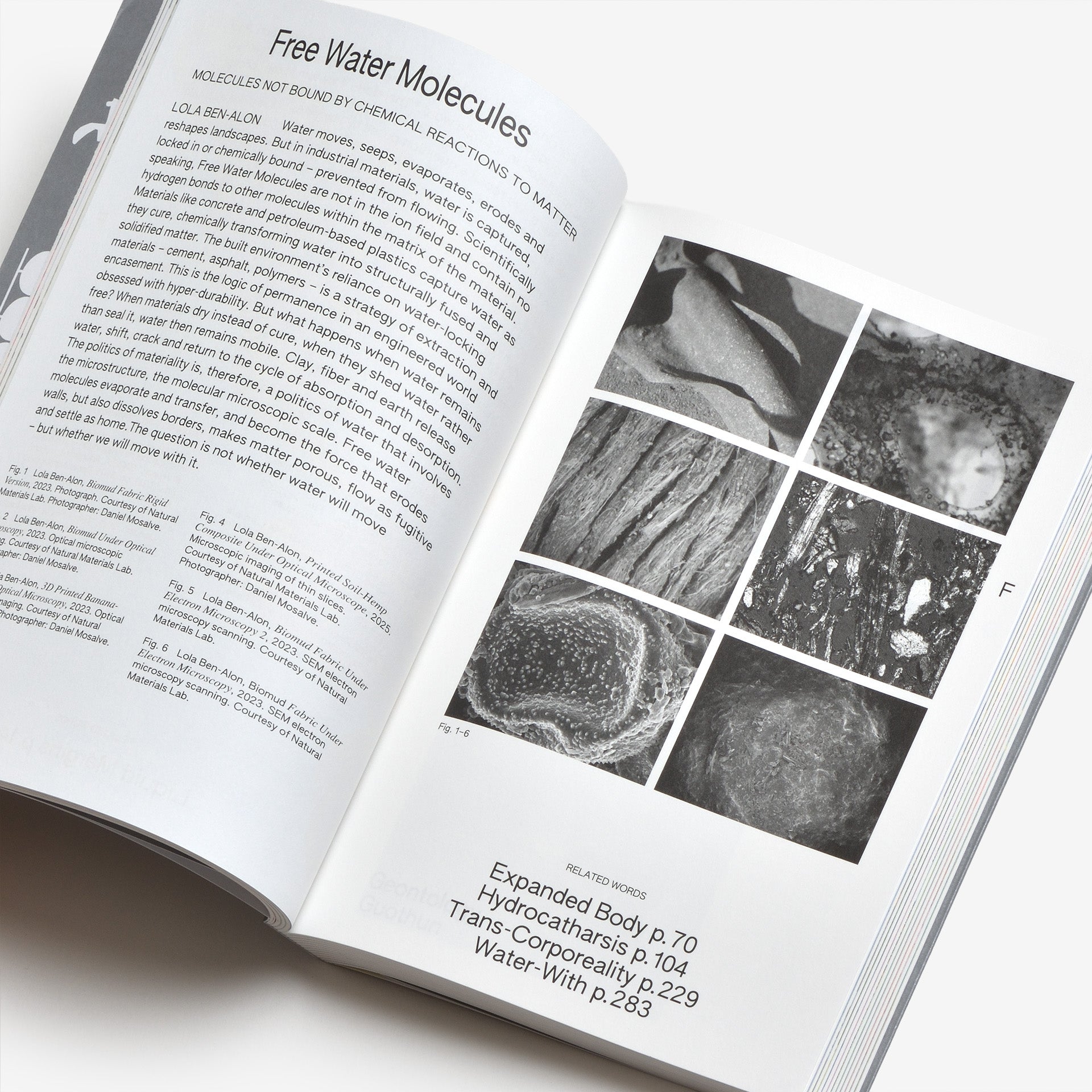 100 Words for Water: A Projective Ecosocial Vocabulary