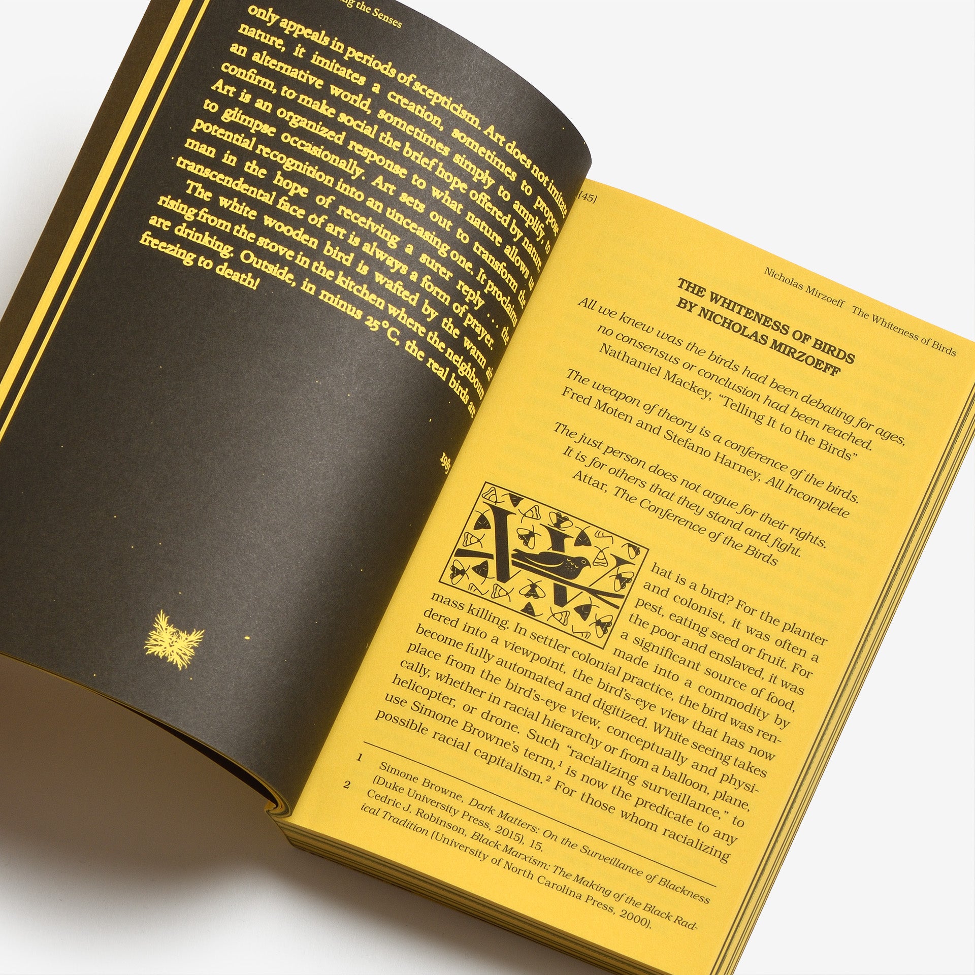 With a Bird, A Reader on Avian Kinship